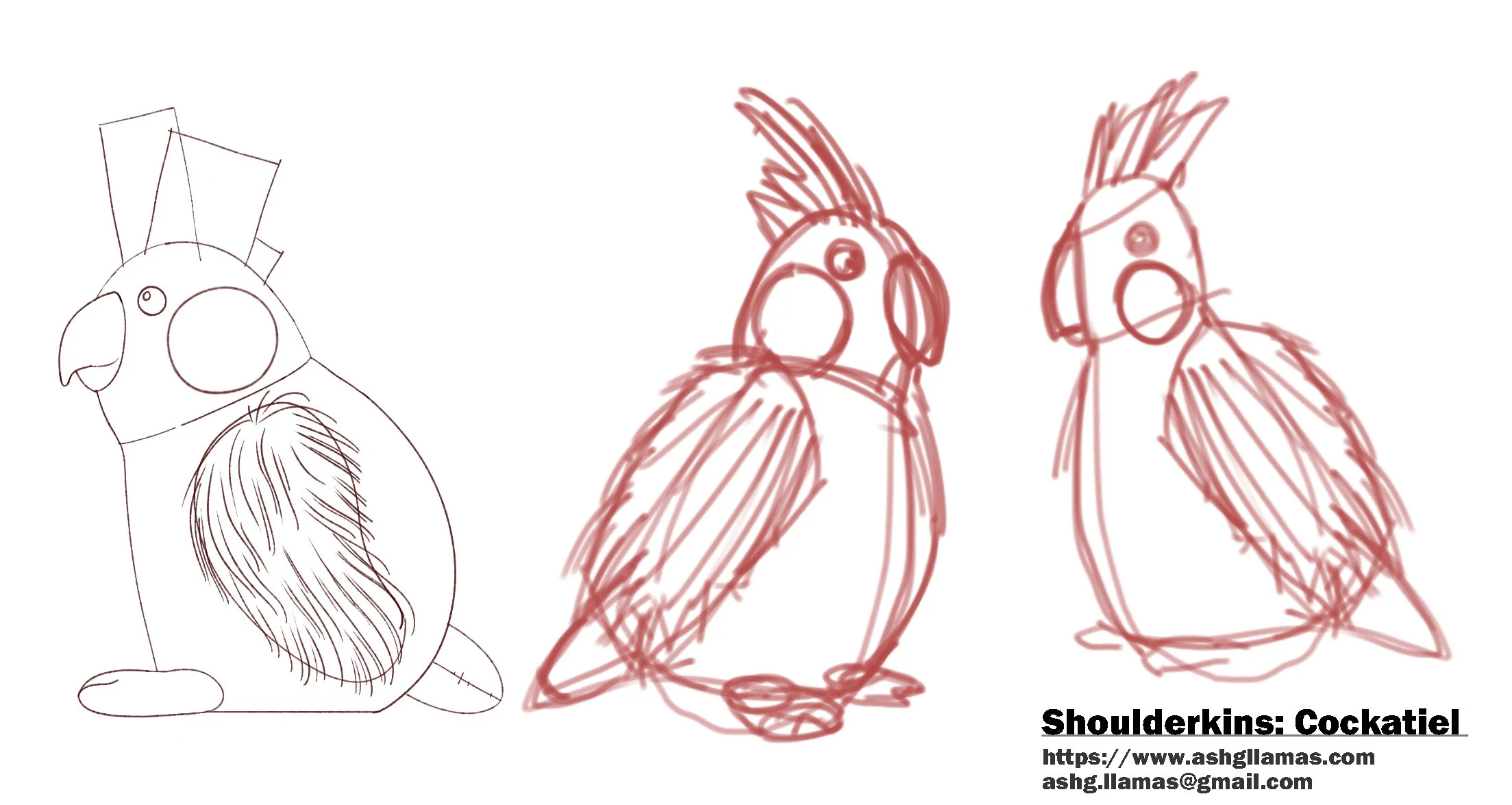ShoulderKinSketches.jpg