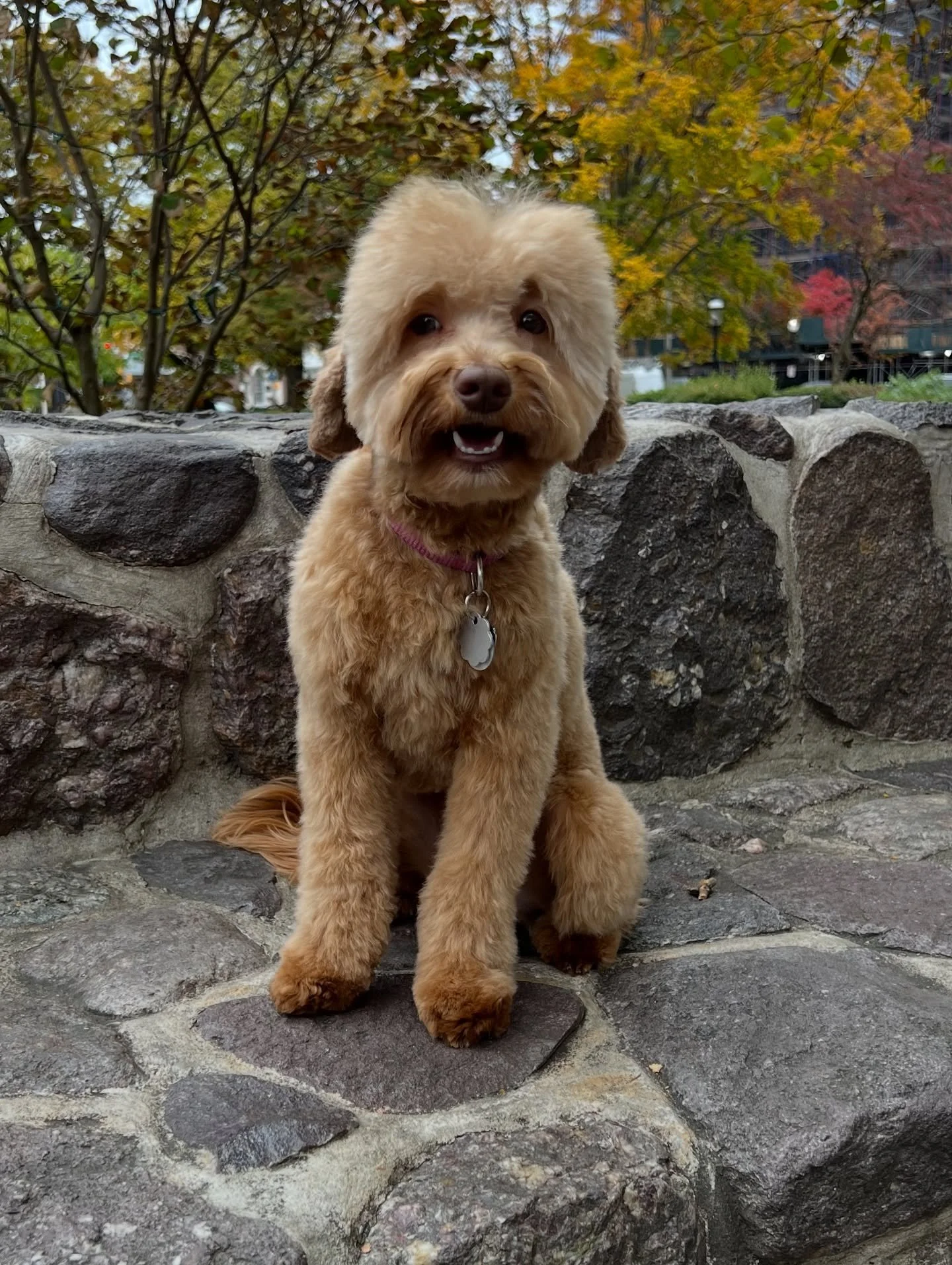 This little bop is turning 1 next month! Crazy! I feel like she and her Hoop for the Best siblings were just born. 🥹 Sedona&rsquo;s mom and I joke that she&rsquo;s a little chicken nugget. Baby girl is baaaaarely 11 lbs (and I&rsquo;m not even sure 