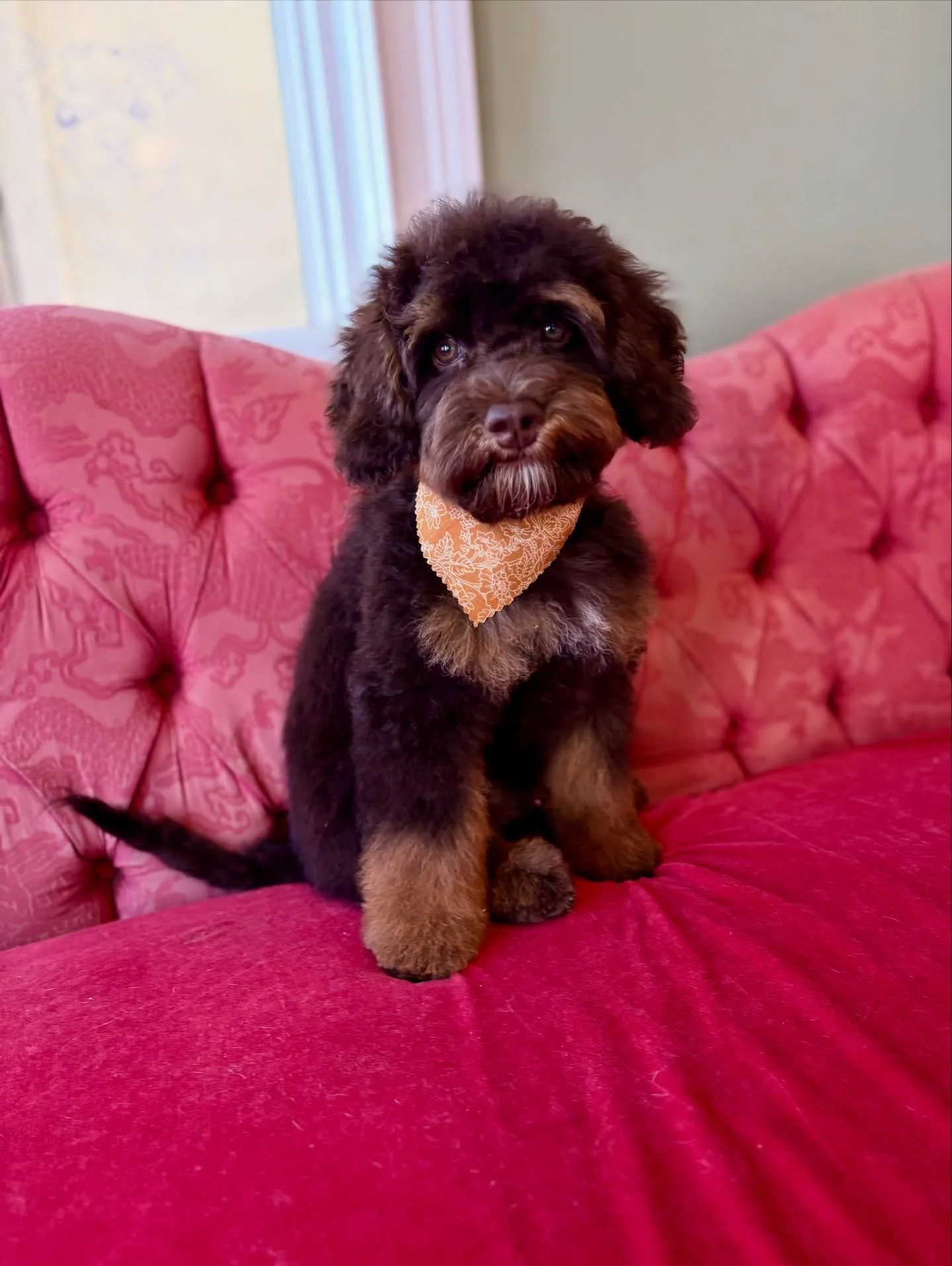 The right words aren&rsquo;t coming to me right now about how stunning and perfect I think this amazing creature is. 🥹 I can&rsquo;t believe that I was lucky enough to have had the honor of being the person to welcome him into this world along with 