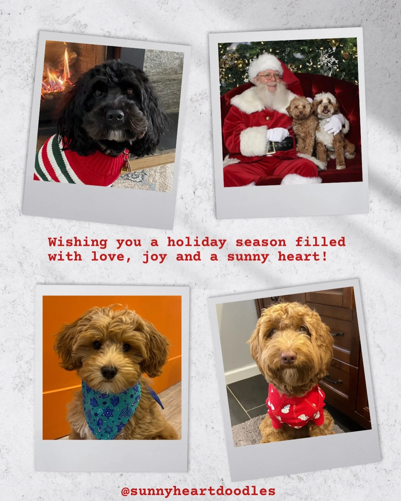 A few days ago, I asked SHD families to text me holiday photos because I want to see my munchkins in all their seasonal spirit. My families delivered!!! 🥰 I can&rsquo;t wait to share more! Aren&rsquo;t Sunny Heart babies magical? Seasons greetings, 