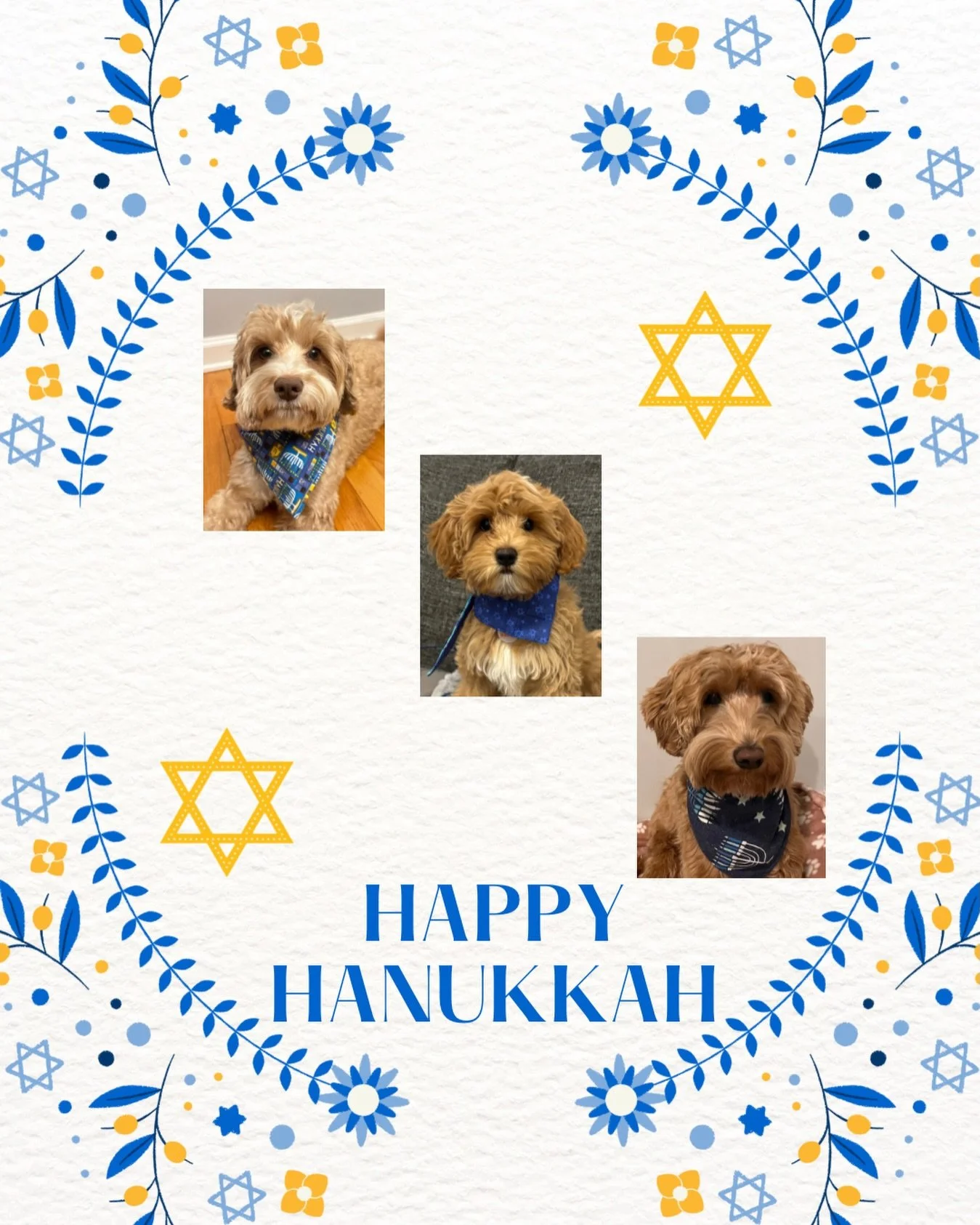 Hanukkah reminds us that light does not wait for darkness to lift. It shows up anyway. It flickers bravely, night after night, growing even stronger when the world feels heavy, uncertain, dark, or painful.

May the Hanukkah flames shine to honor thos