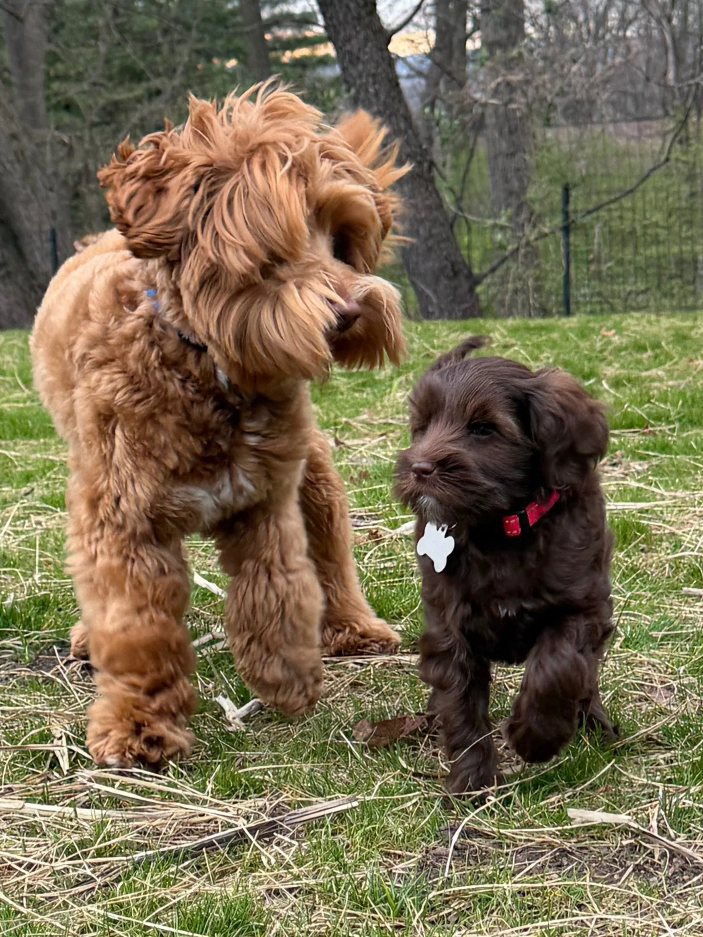 Pretty sure Campbell had the best weekend of her life! 😄 Darling girl got to play with her DADDY, Gavin! She had soooo much fun and slept for hours afterwards! Gavin was really sweet with Campbell&hellip;and was even kind-natured when she tried to n