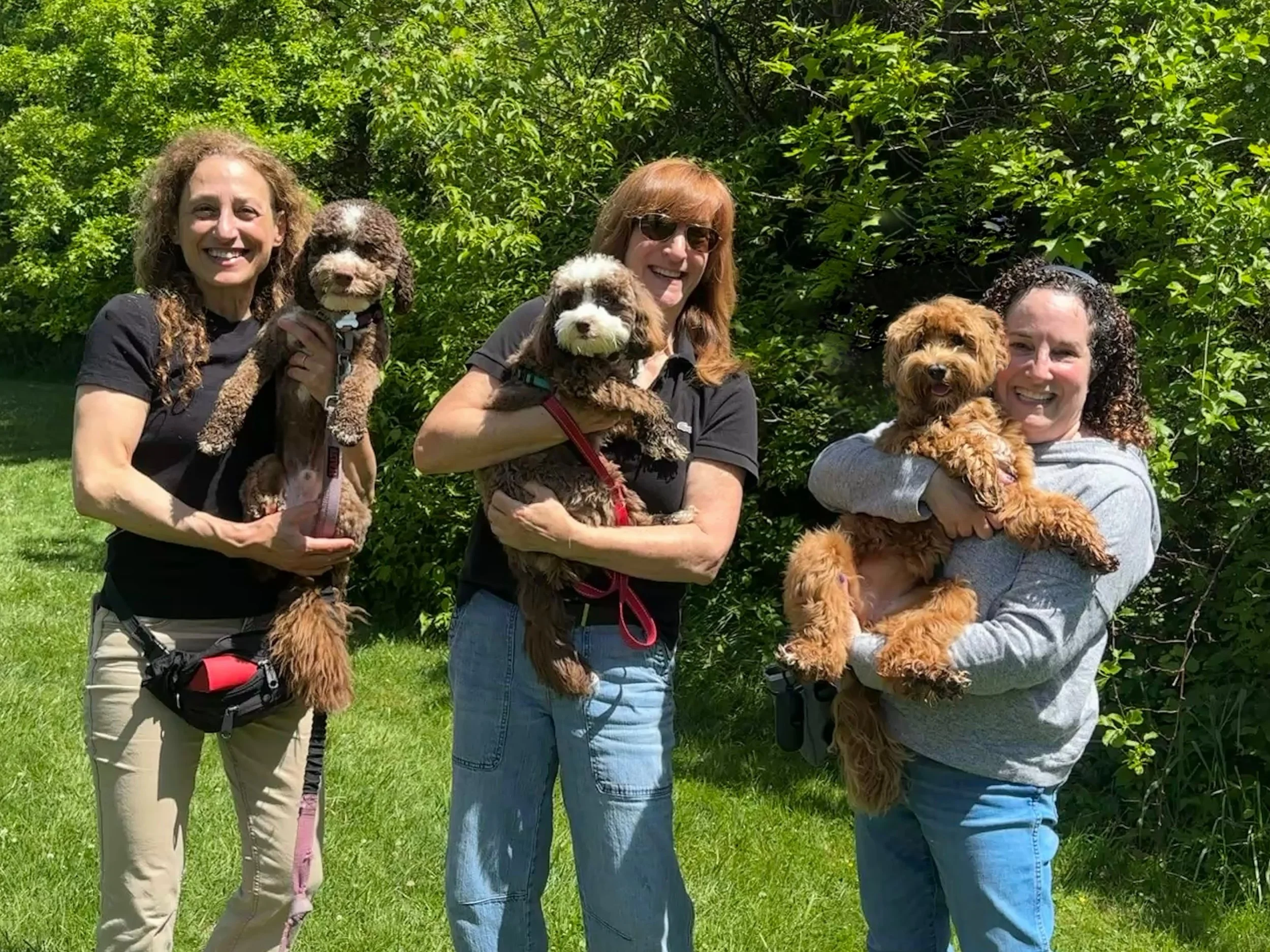 I love that these SHD mamas stopped to take a photo together coming out of/going into training school! Winston and Bandit (left and center) get to see each other in class each week! Ellis (right) gets to see them as she&rsquo;s coming out of her clas