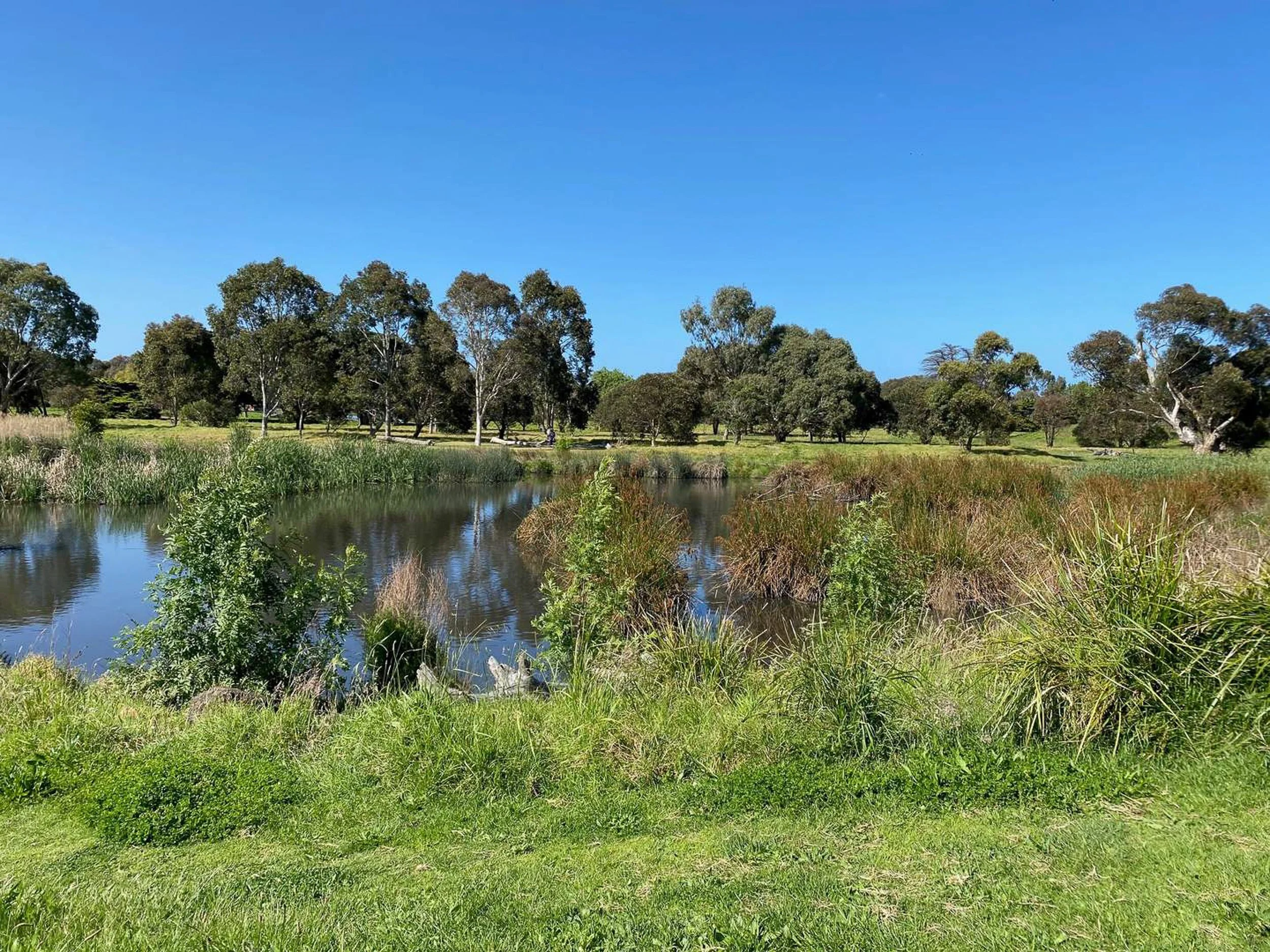 Yalukit Willam Nature Reserve 