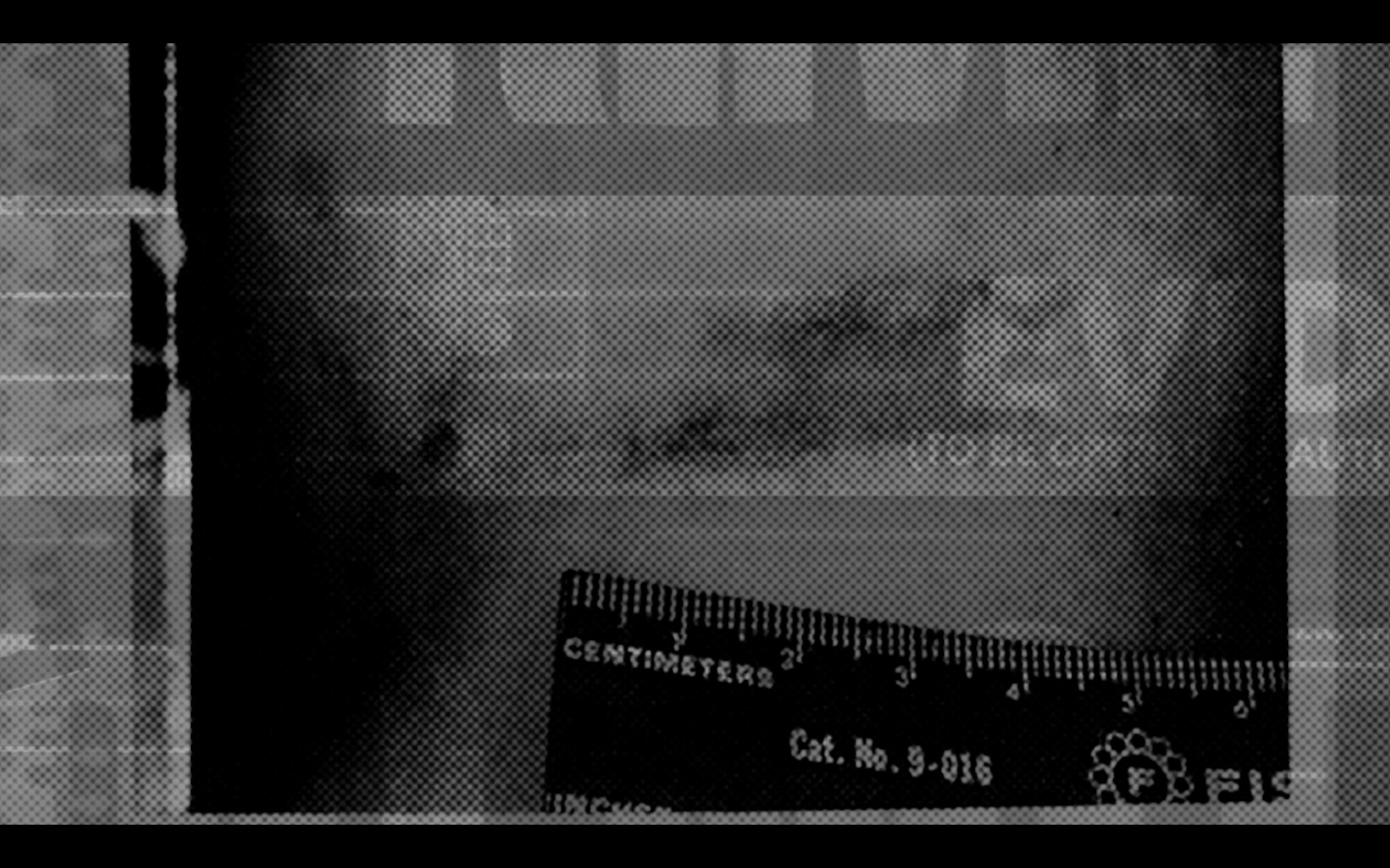 Screen Shot 2021-04-06 at 10.28.48 PM.png