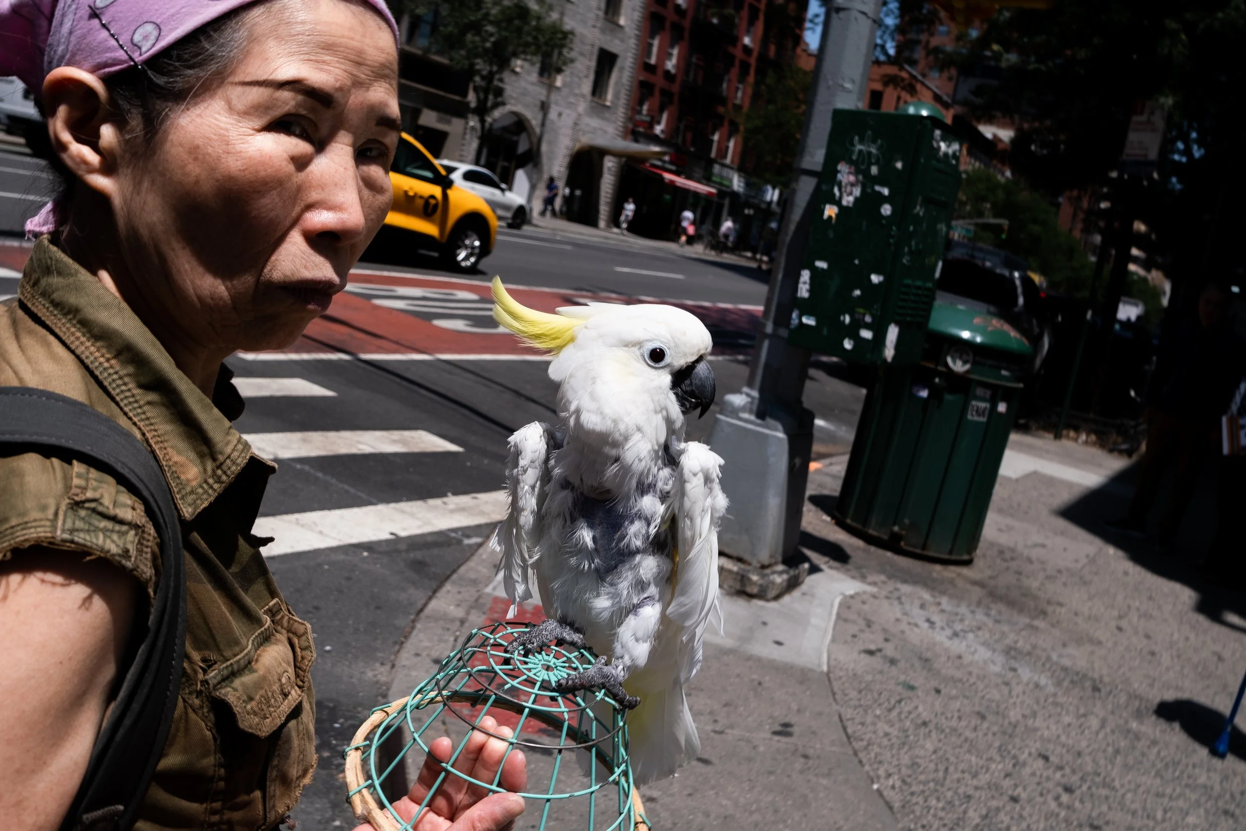 NYC 2025-59.jpg