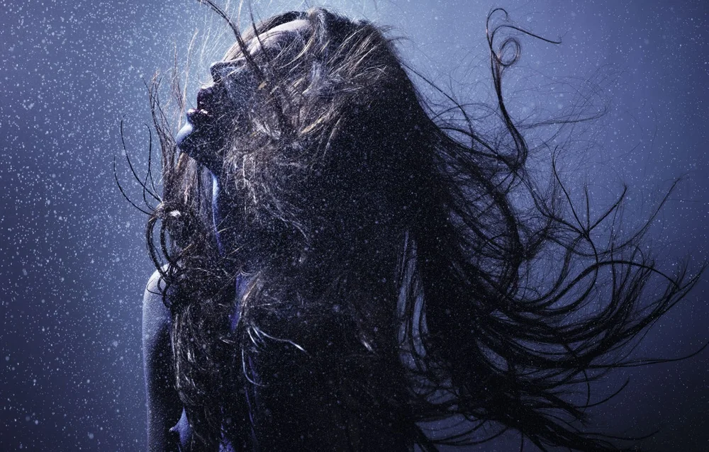 NSFW, 2016 — Rankin