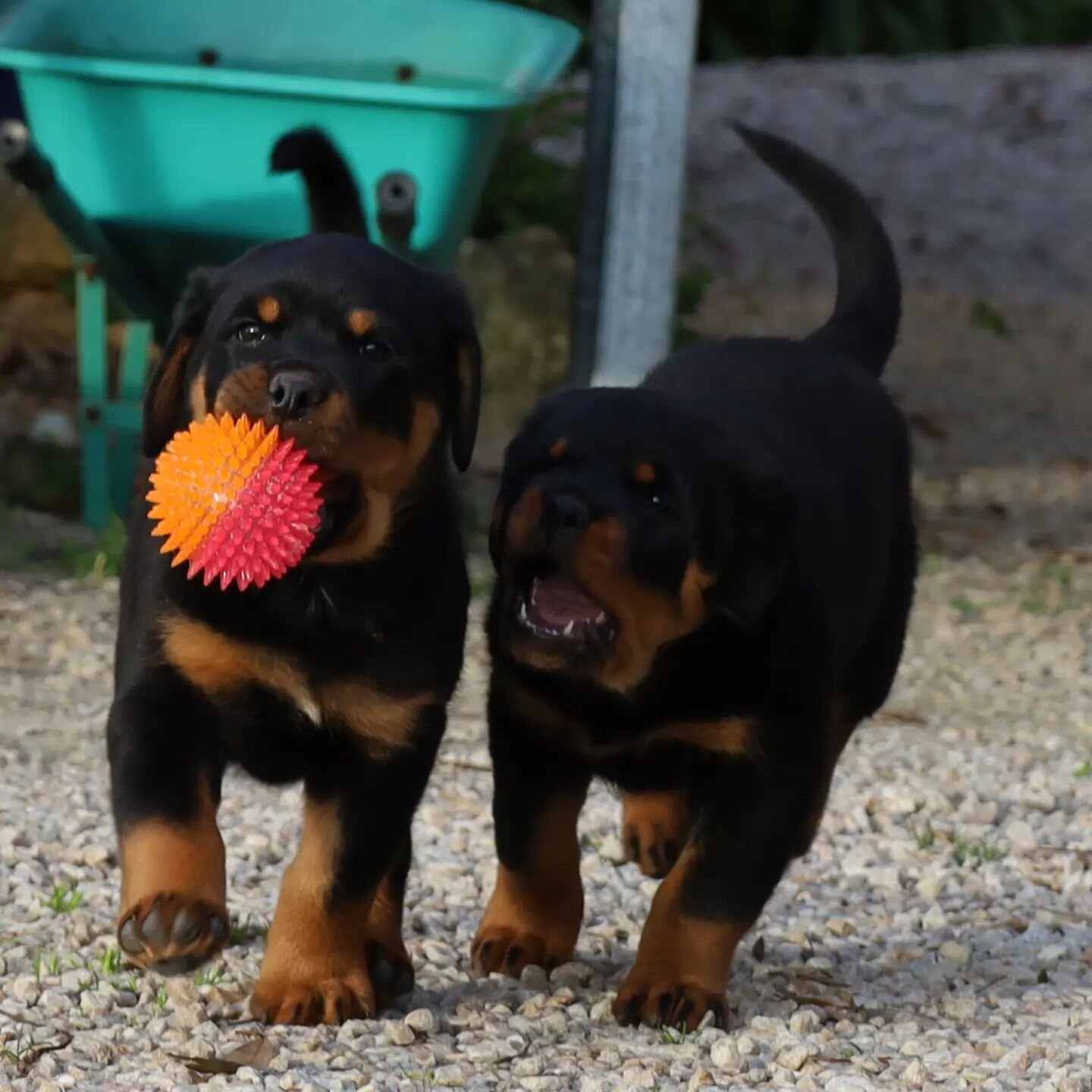 Mine, all mine