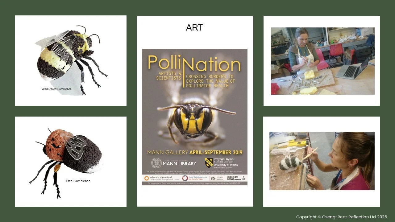 20.01.26_Big Idea Wales_Product Design Workshop - art.jpg