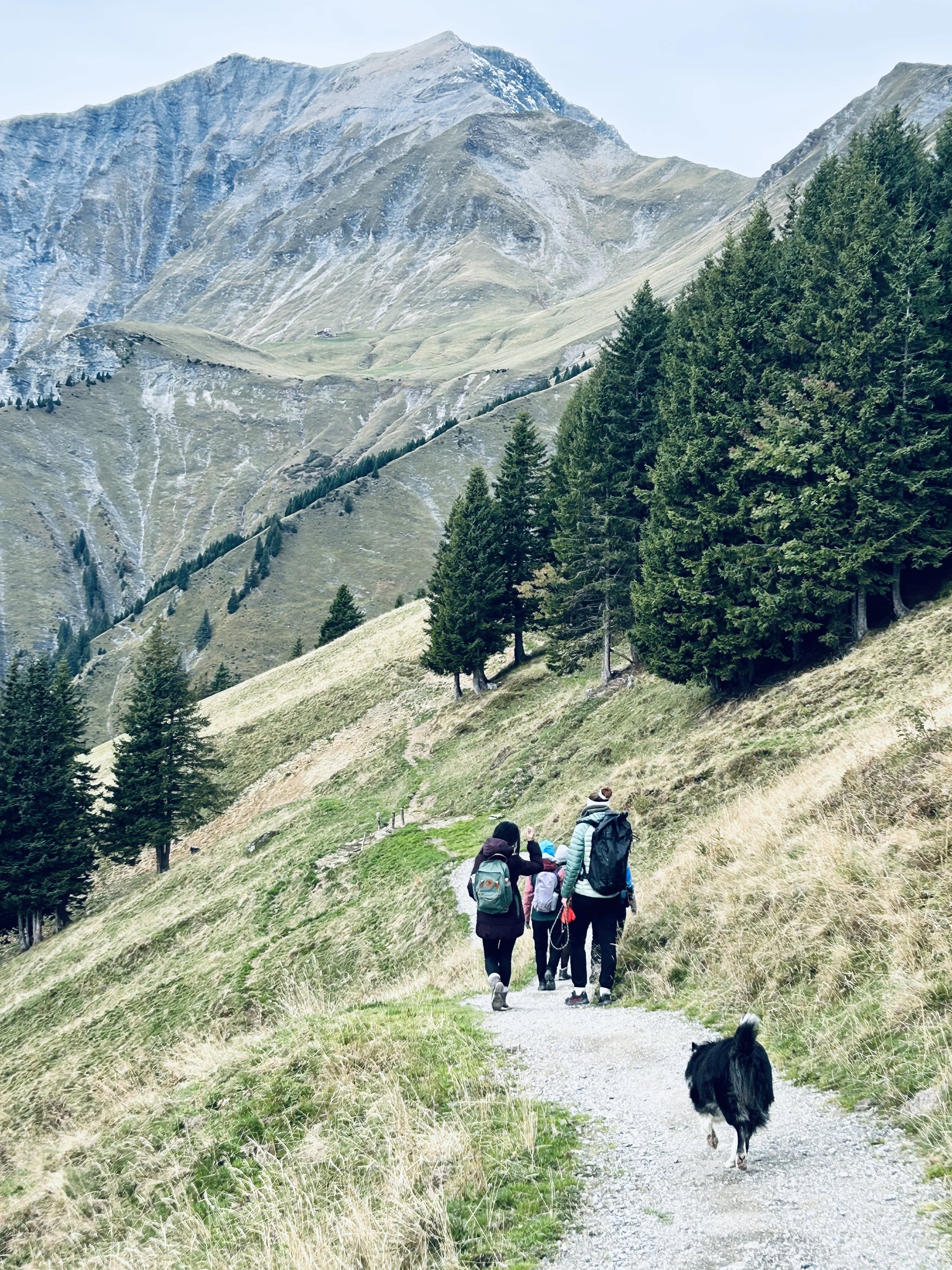Eine Gruppe Menschen wandert auf einer Berghütte in den Bergen mit einem Hund, umgeben von grünen Wiesen und Kiefern, mit hohen Bergen im Hintergrund.
