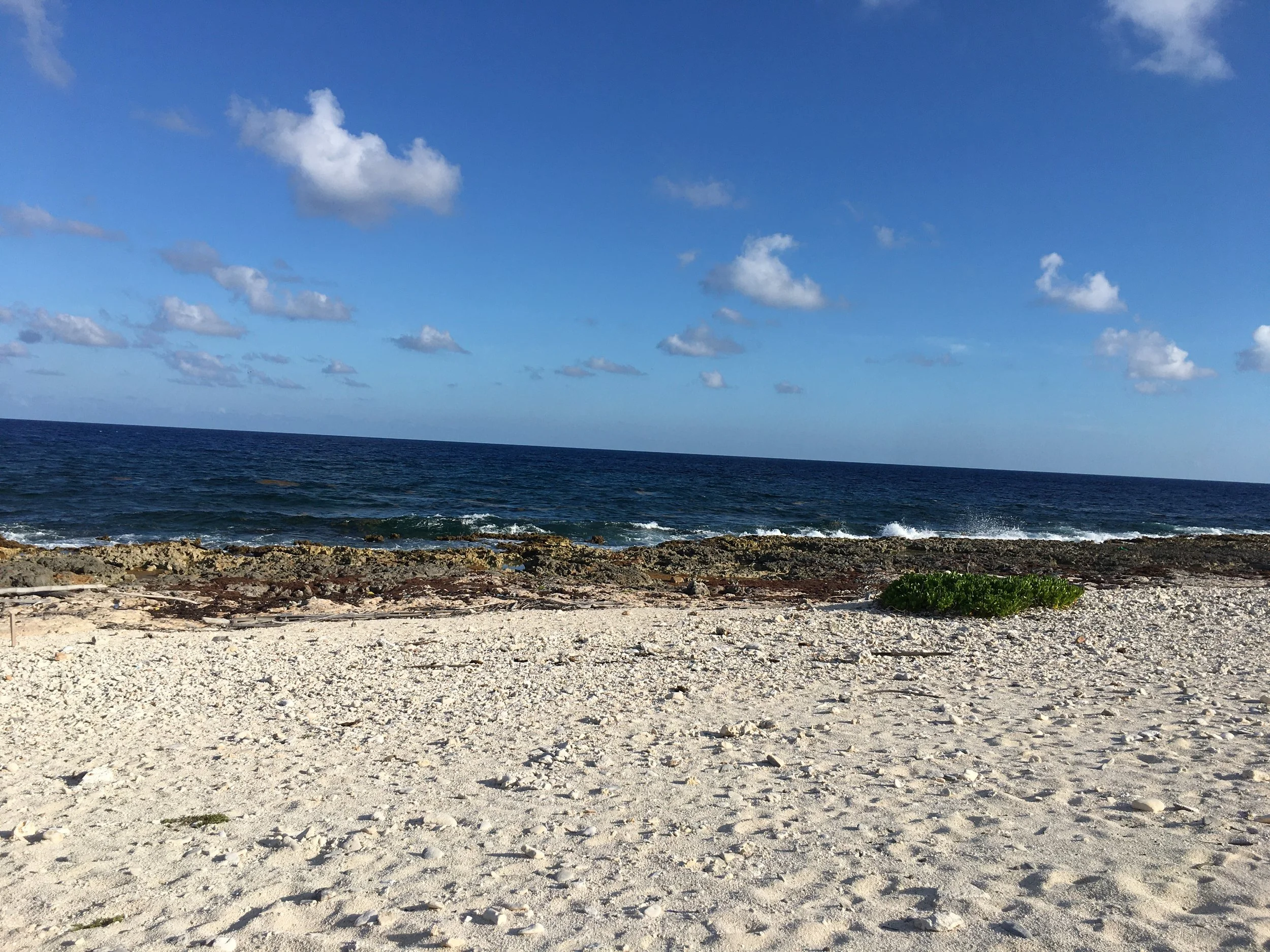 Cayman Brac Poets' Retreat: April 2023