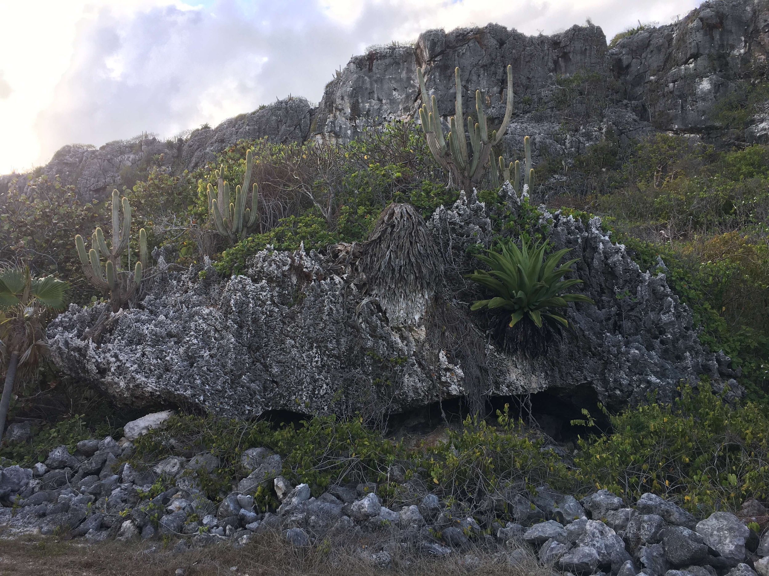 The Brac and a Boulder