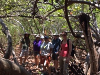 In a forest protected by CBRAC