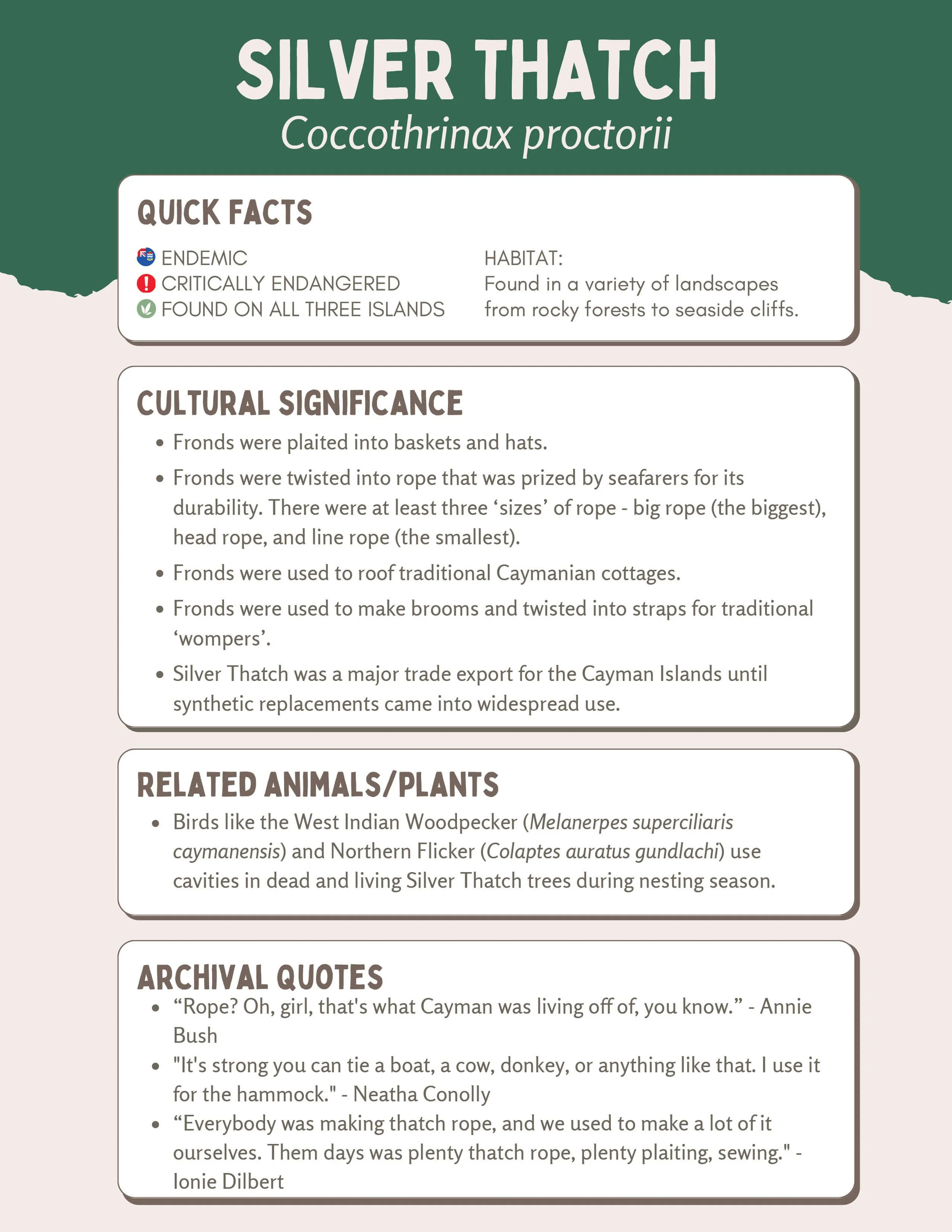 Plant Muses_v1-2.jpg