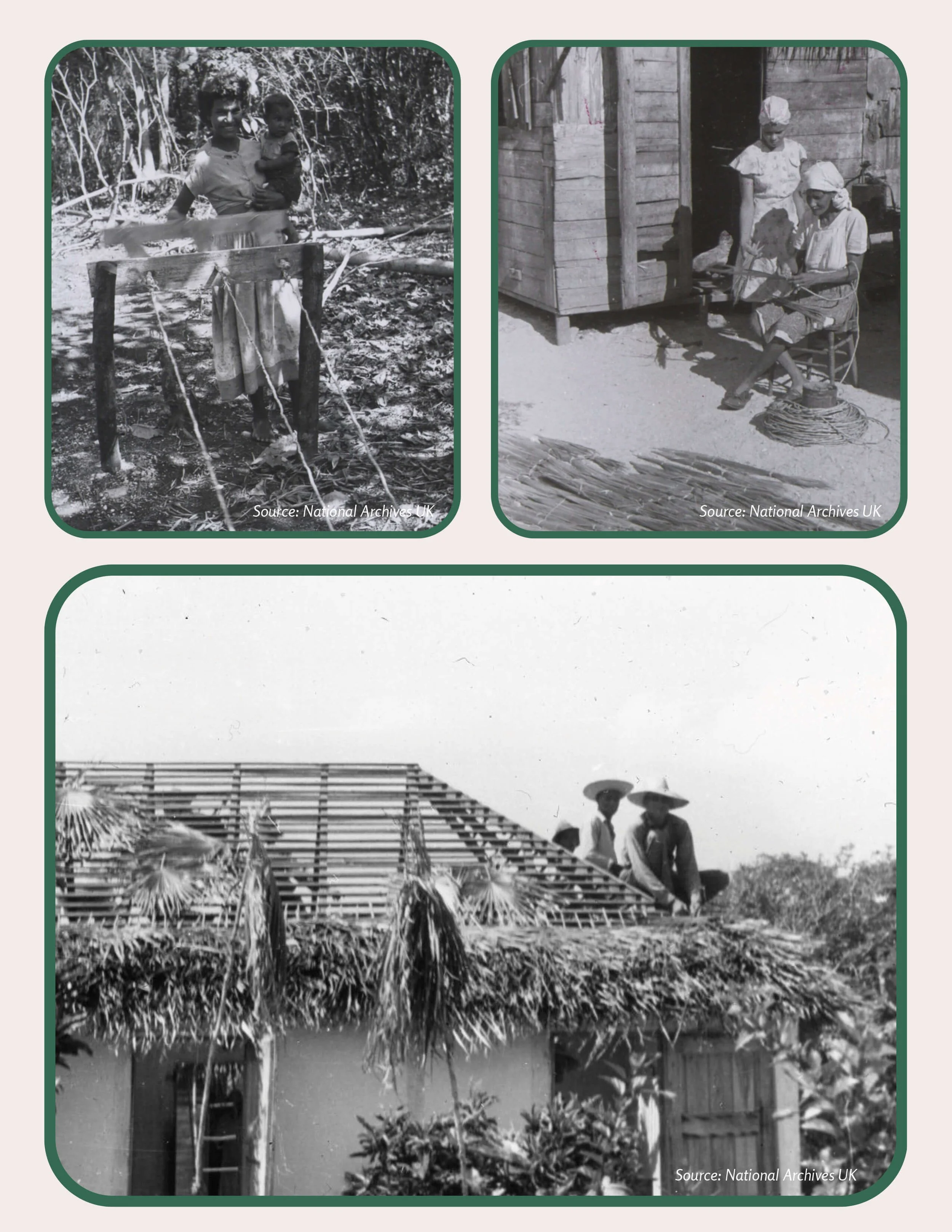 Plant Muses_v1-4.jpg