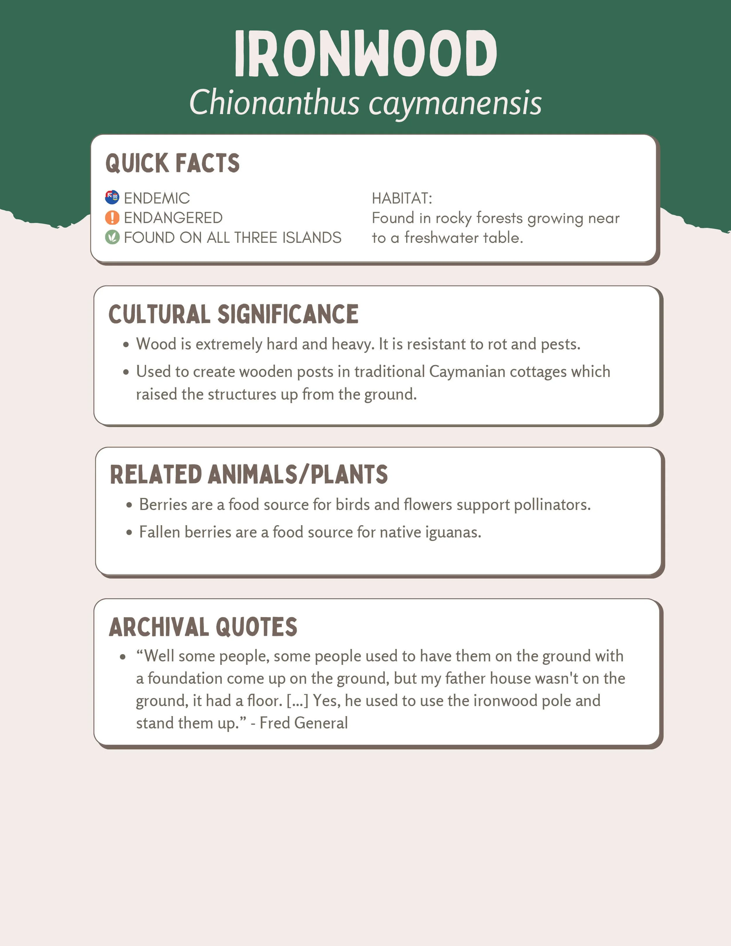 Plant Muses_v1-5.jpg