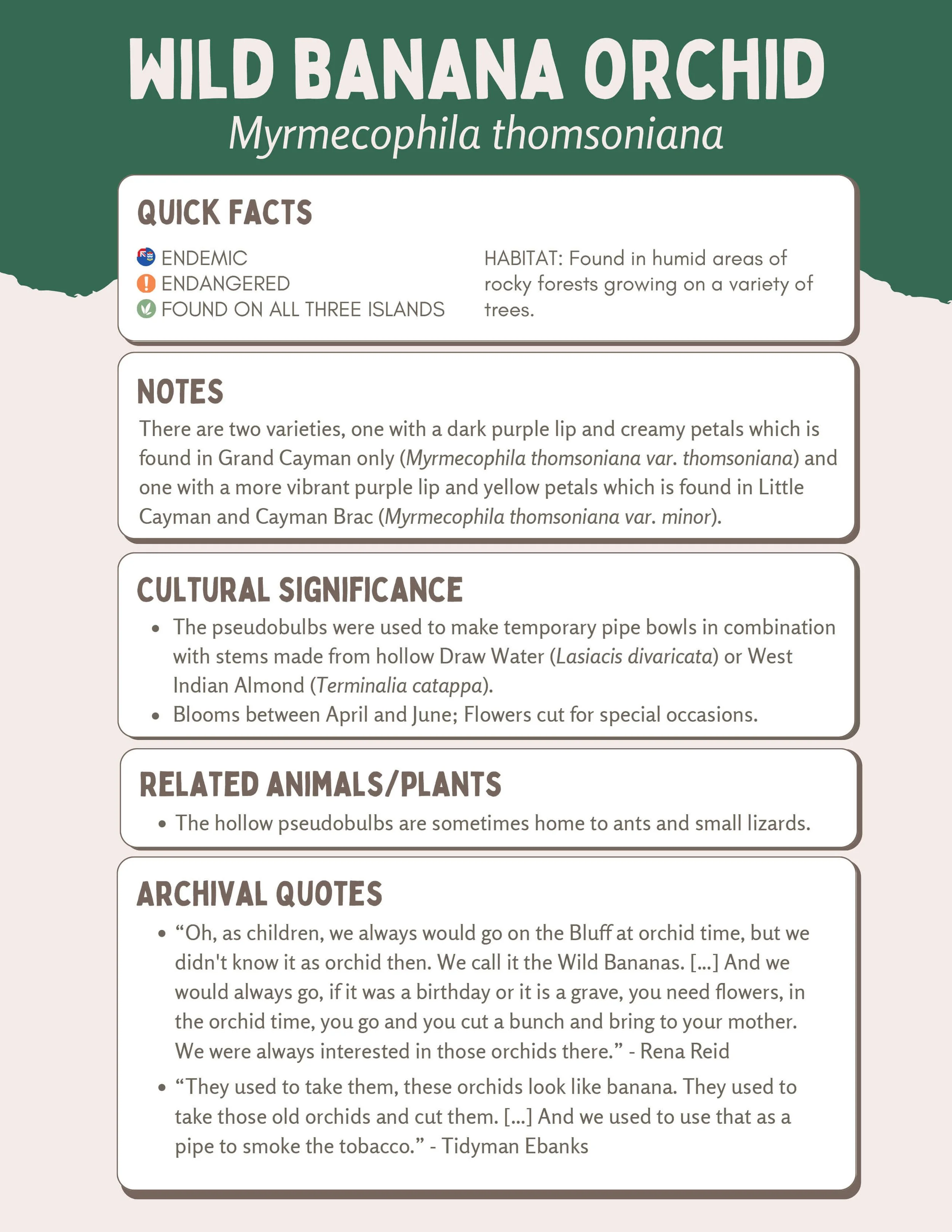 Plant Muses_v1-11.jpg