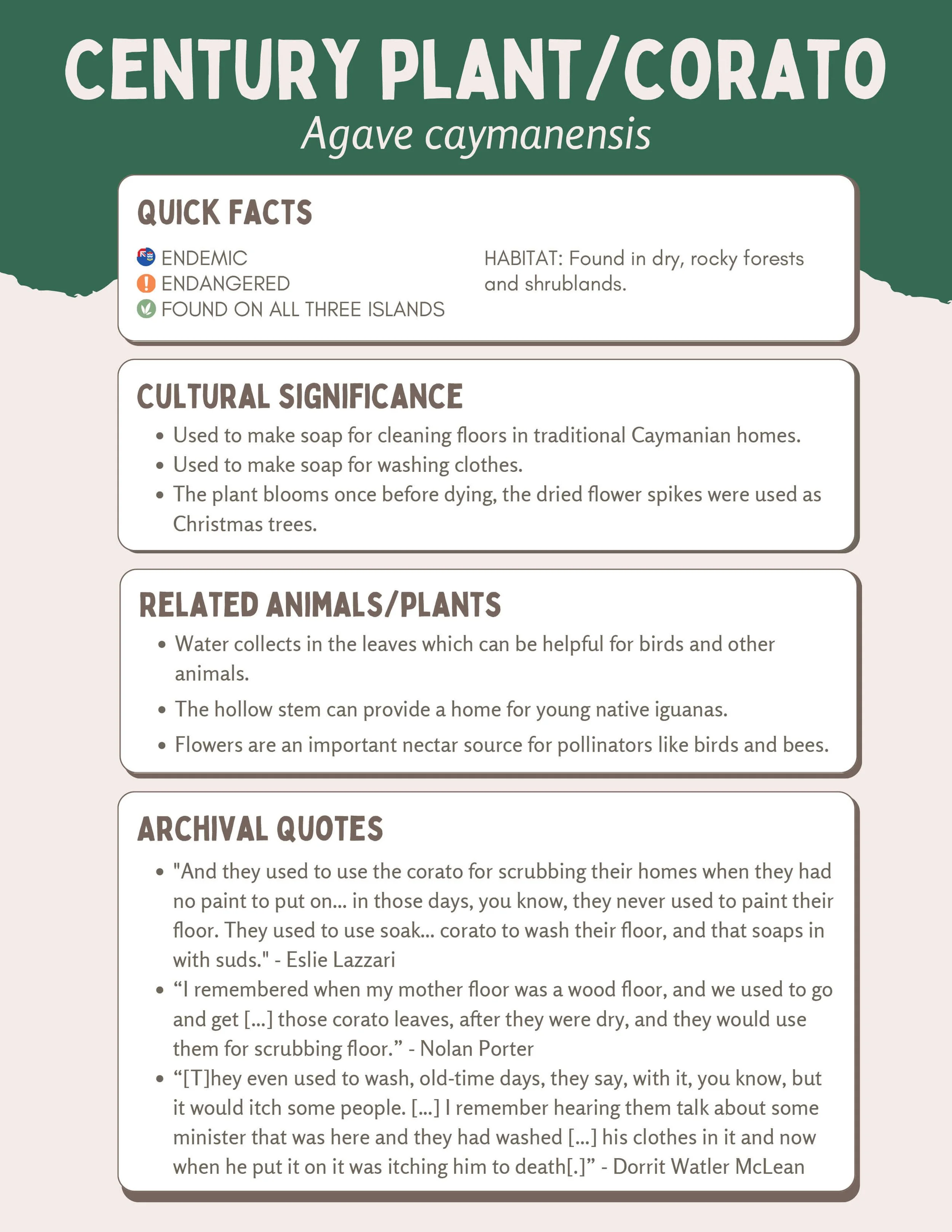 Plant Muses_v1-13.jpg