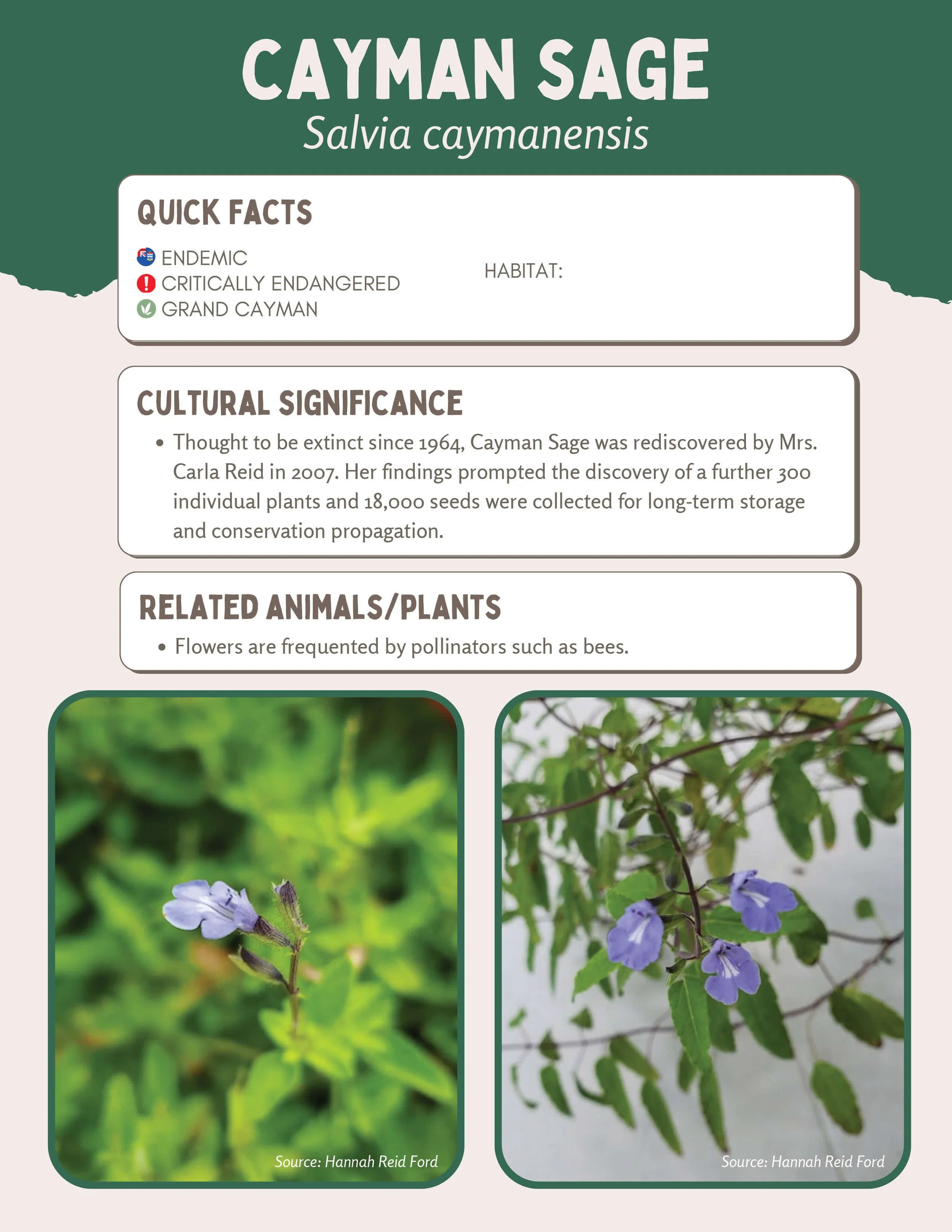 Plant Muses_v1-20.jpg