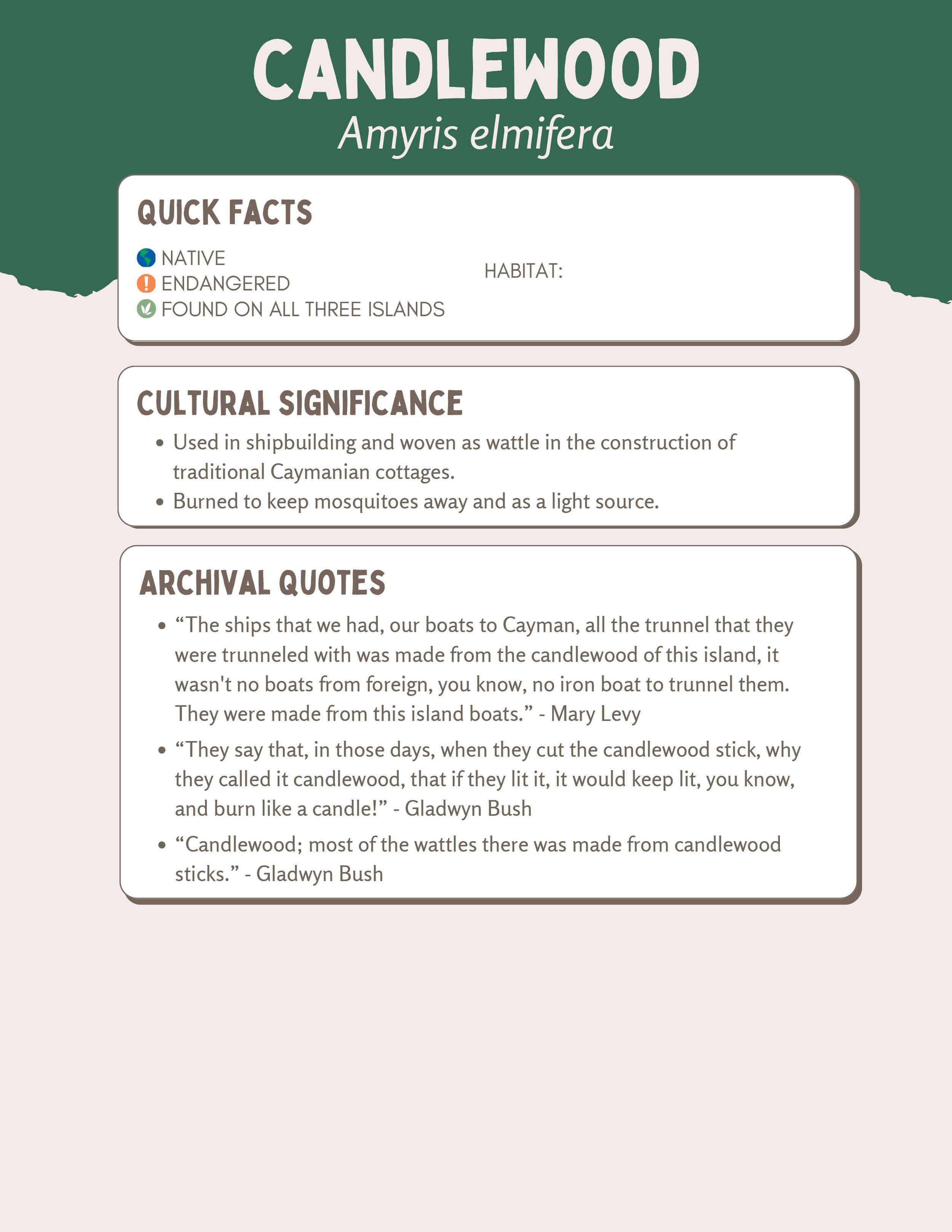 Plant Muses_v1-21.jpg