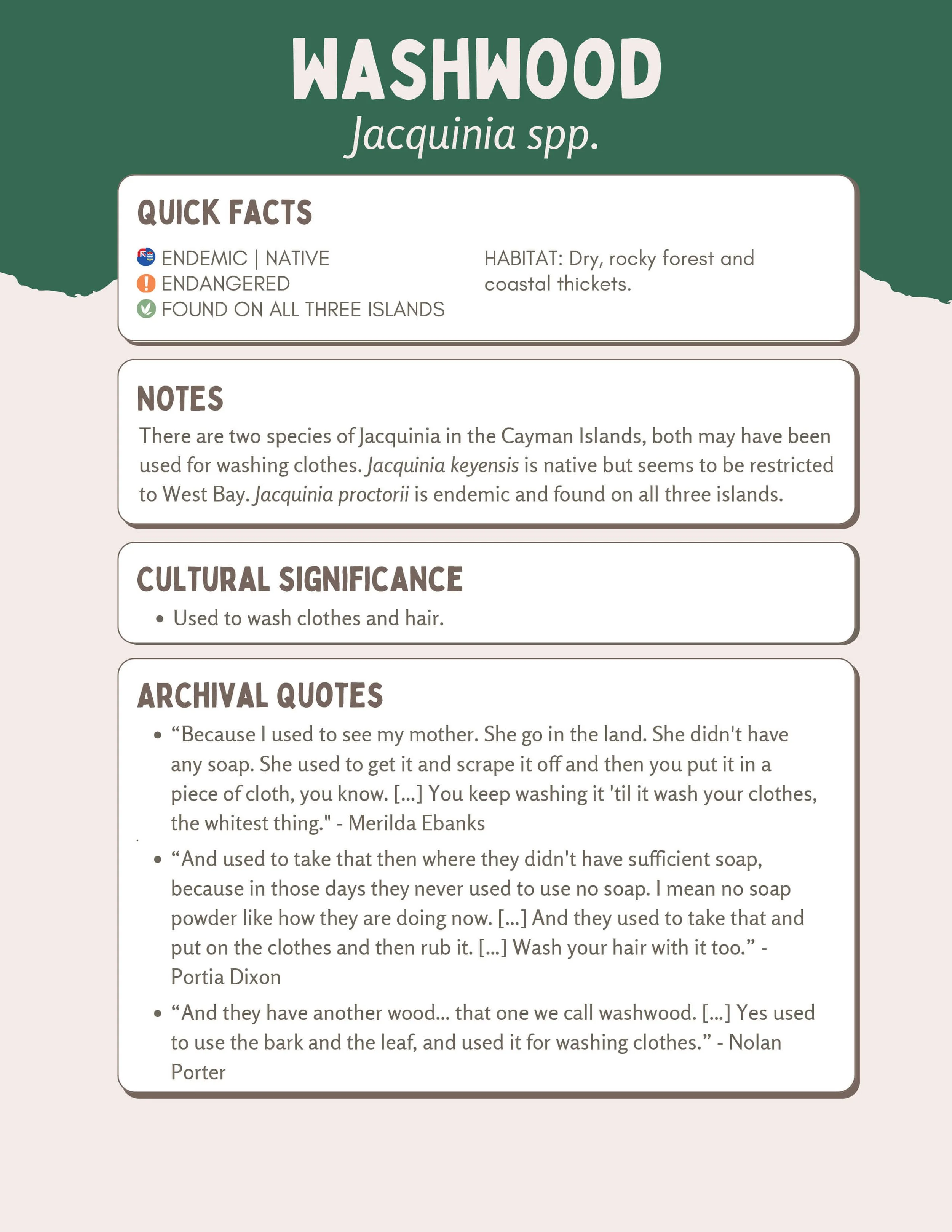 Plant Muses_v1-23.jpg