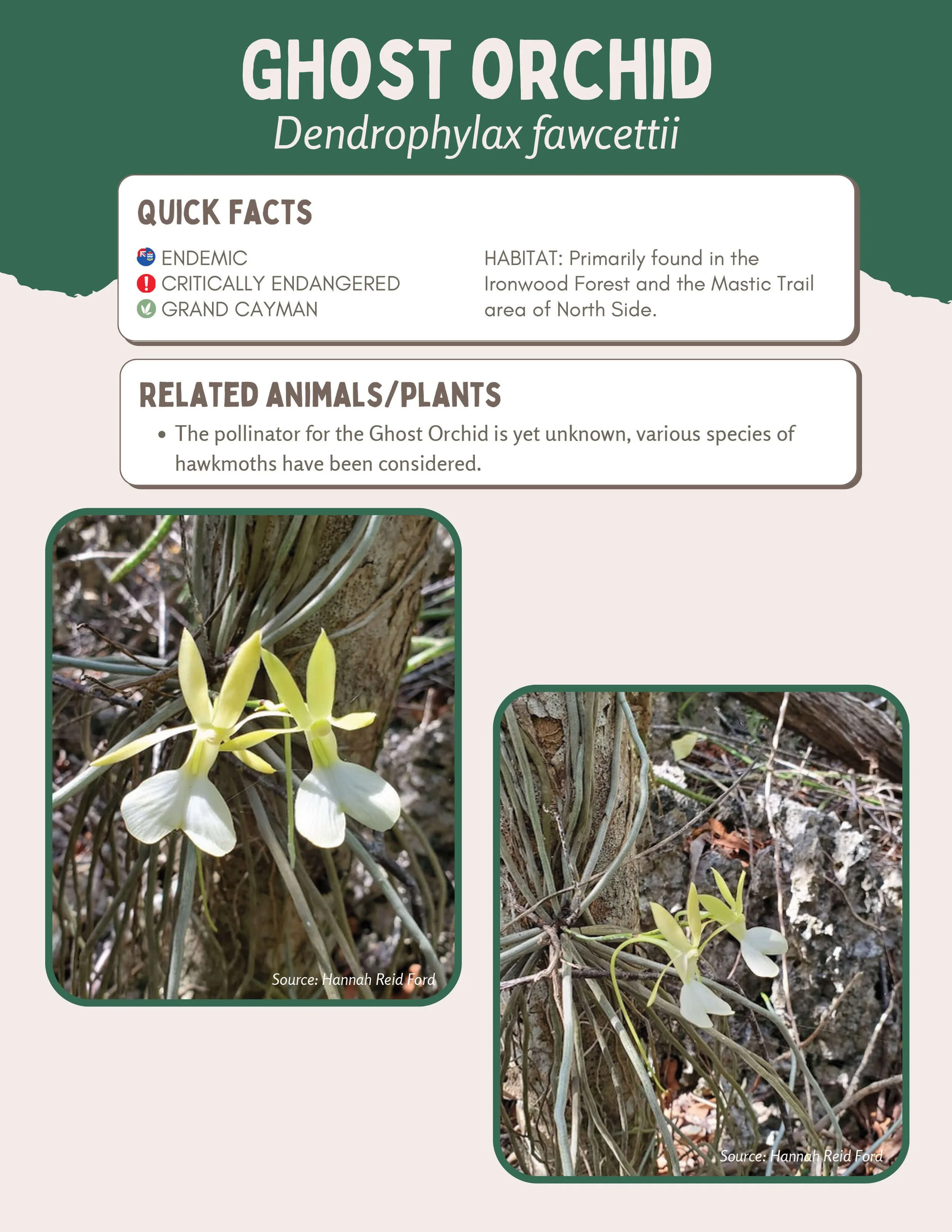 Plant Muses_v1-28.jpg