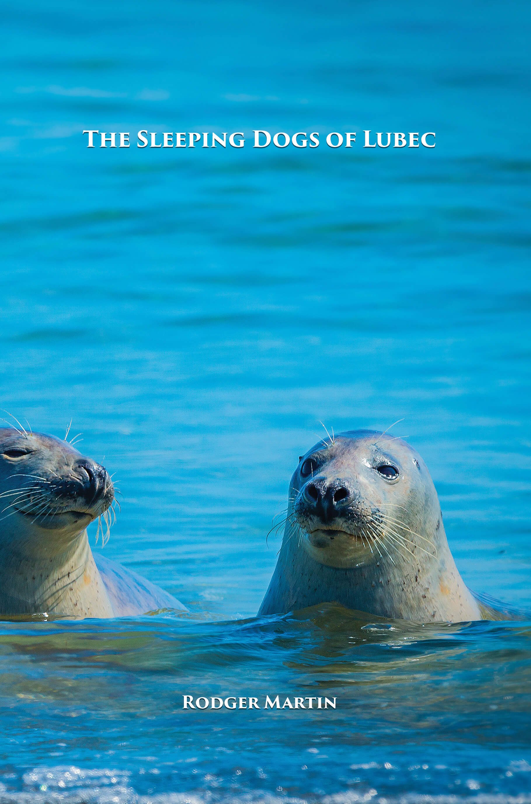 The Sleeping Dogs of Lubec