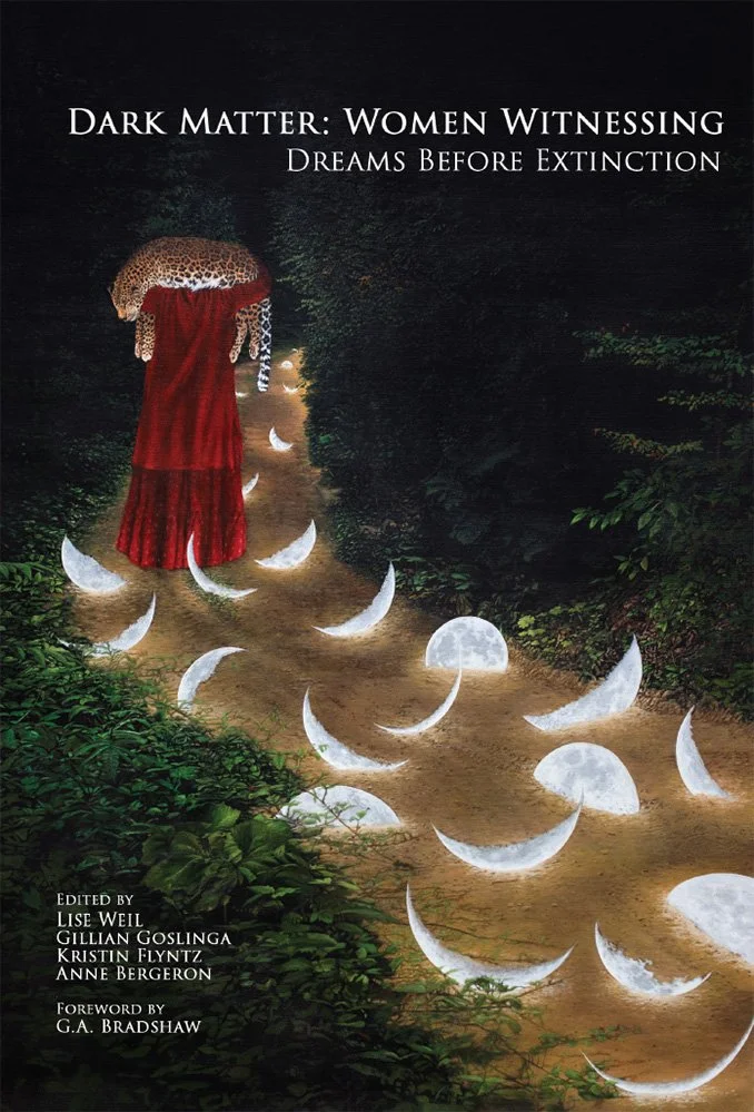 Bearing Witness in Dark Times