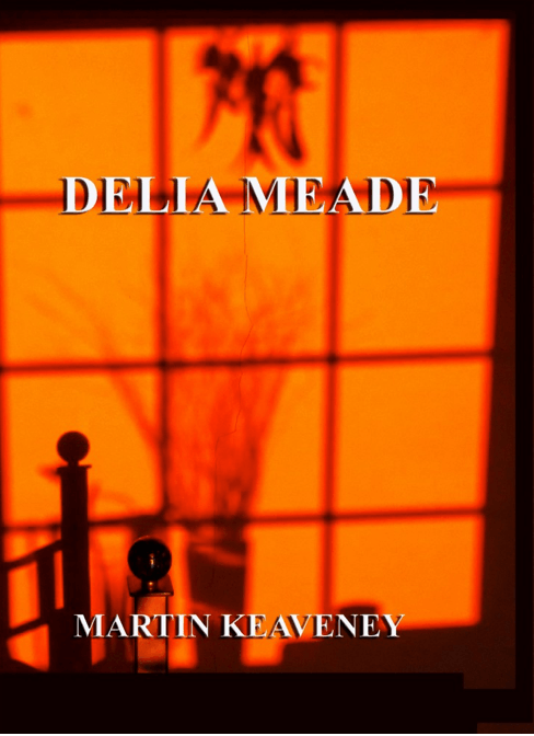 Delia Meade by Martin Keaveney