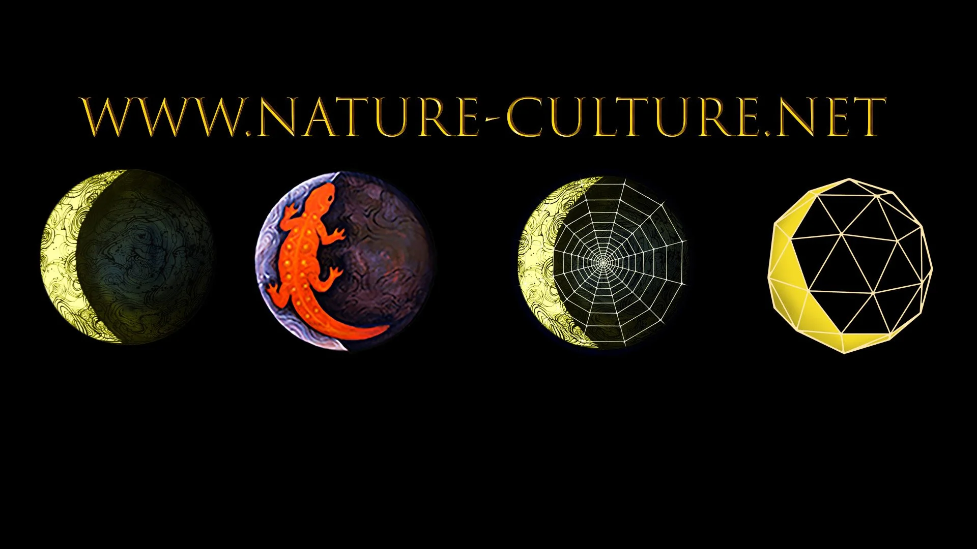 zoom background-new1.jpg