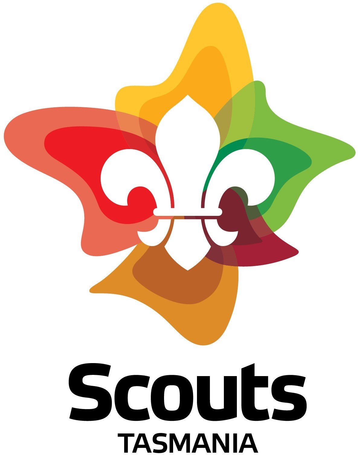 Scouts - jota.jpg