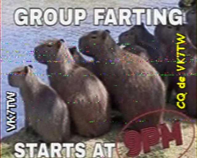 Hist33b-Hist18.JPG