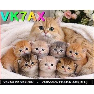 SSTV NET - 21 May 2026