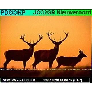 SSTV NET - 16 July 2026