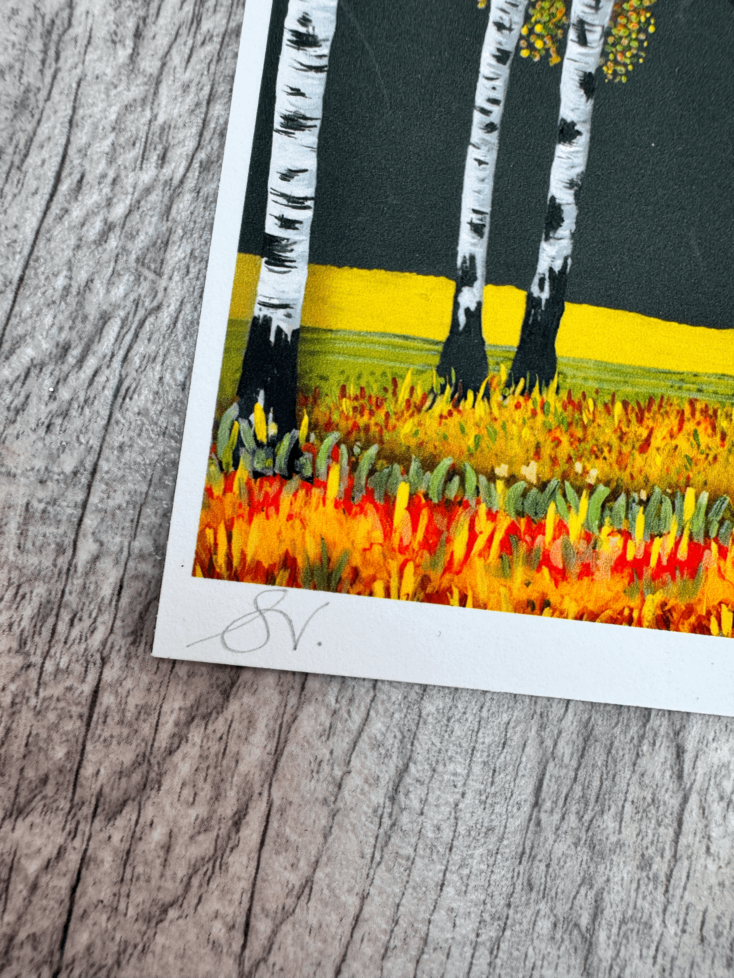 tempImage7dde9T.gif