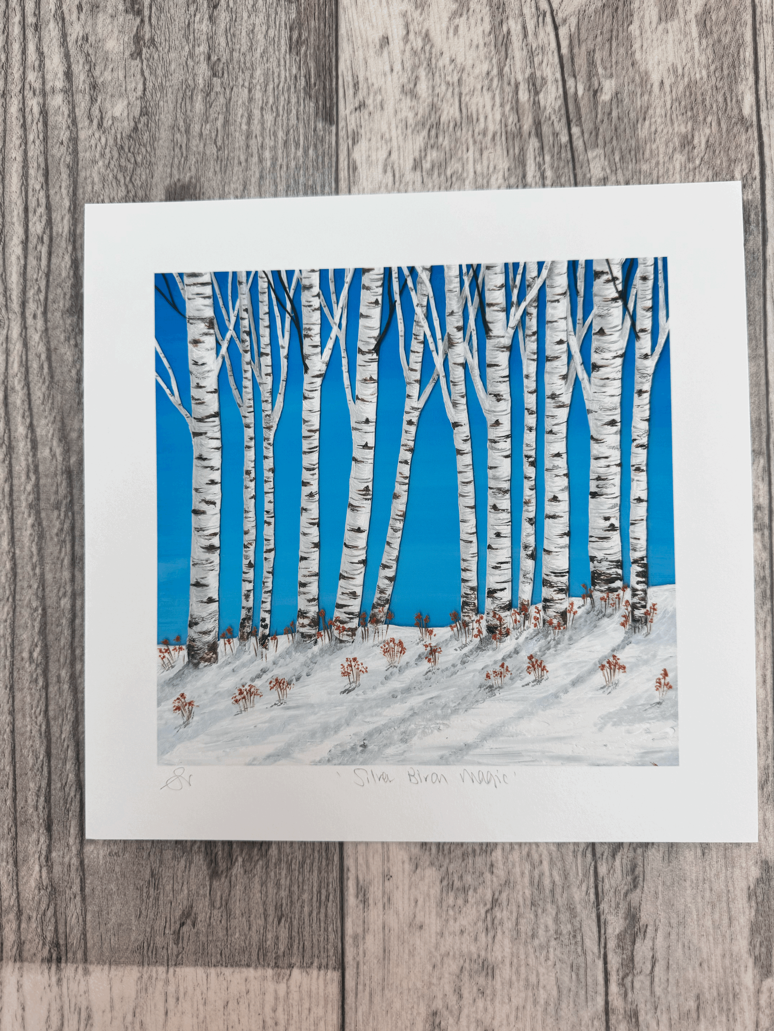 Silver Birch Magic- Giclée Print 17.5 x 17cm