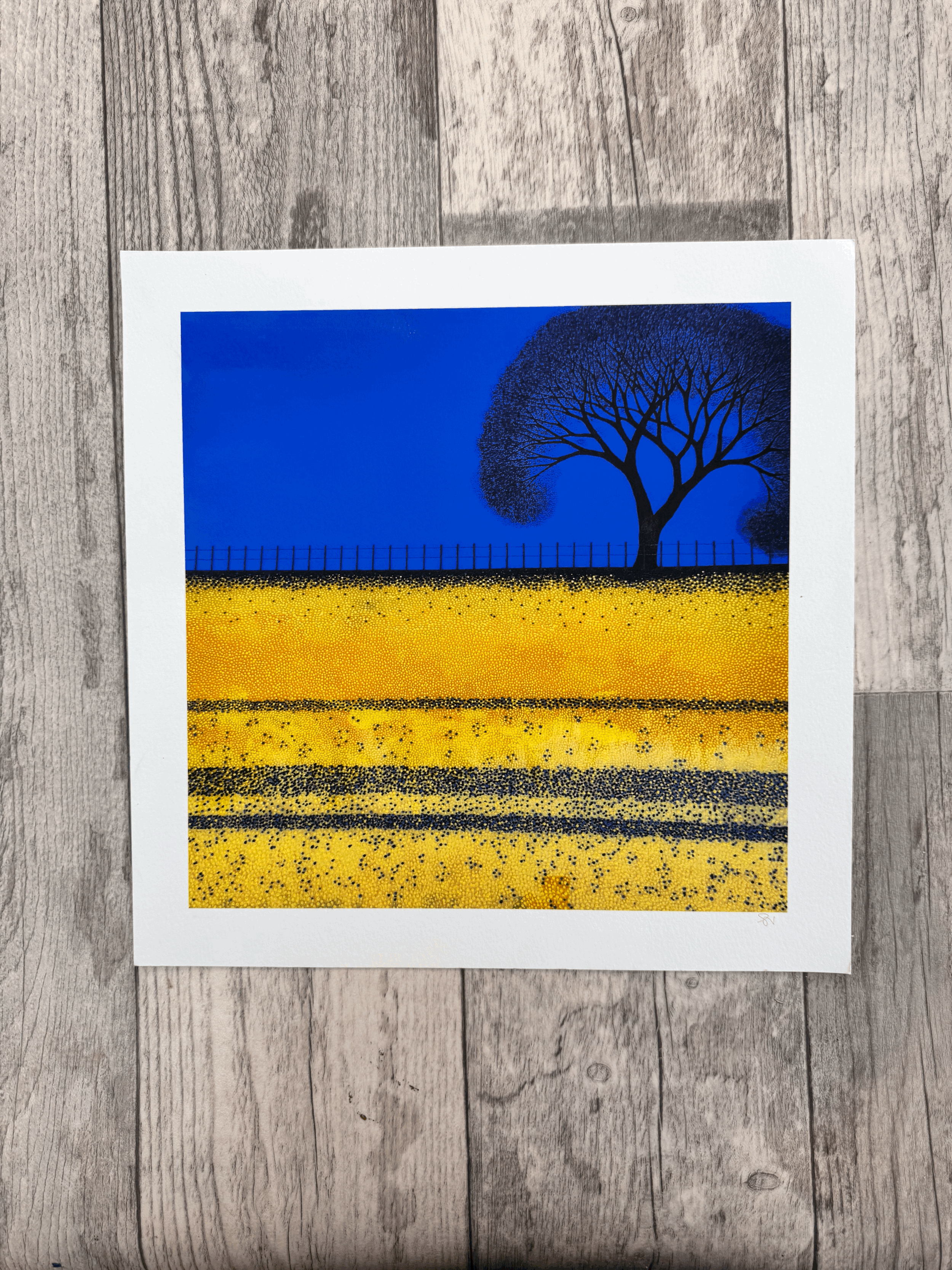 Blue and Yellow -  Giclée Print 26 x 25.5cm