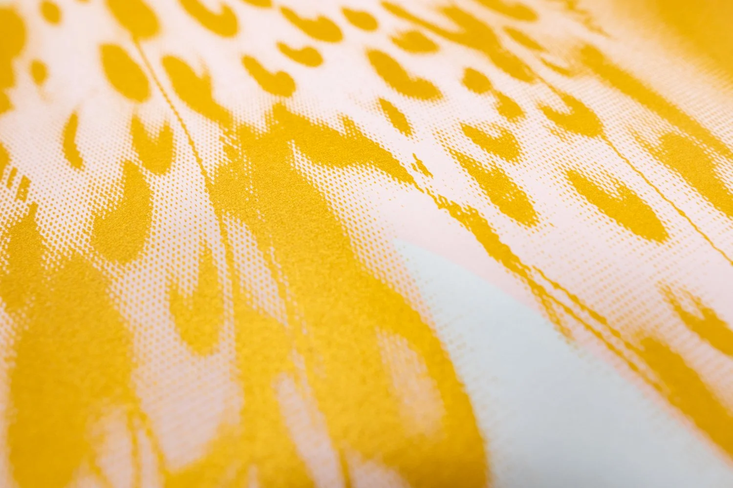 ArabianLeopardPrint_Web-7.jpg