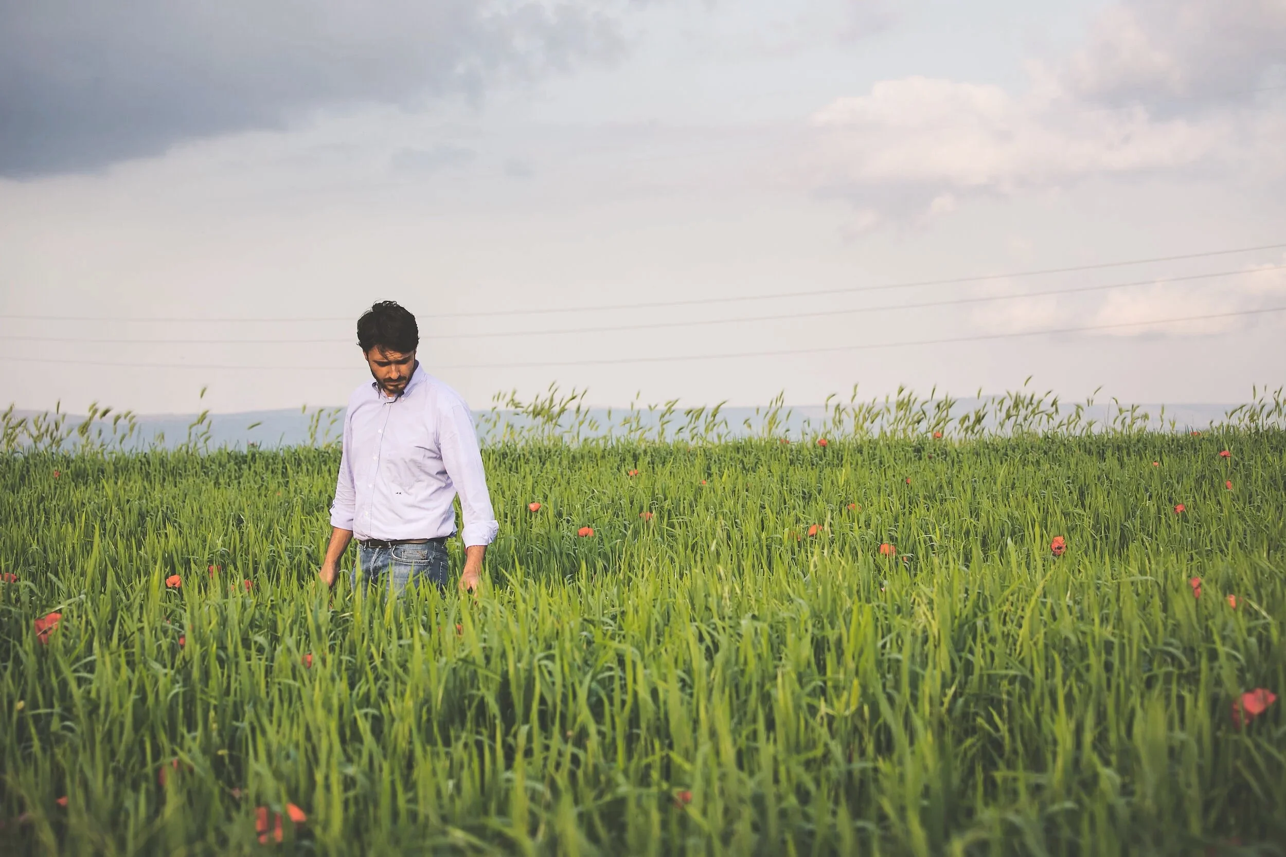 Uomo che cammina in un campo di erba verde con fiori rossi, sotto un cielo nuvoloso.