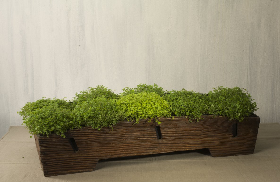Japanese Cedar Wood Planter H18 x W96 x D47cm