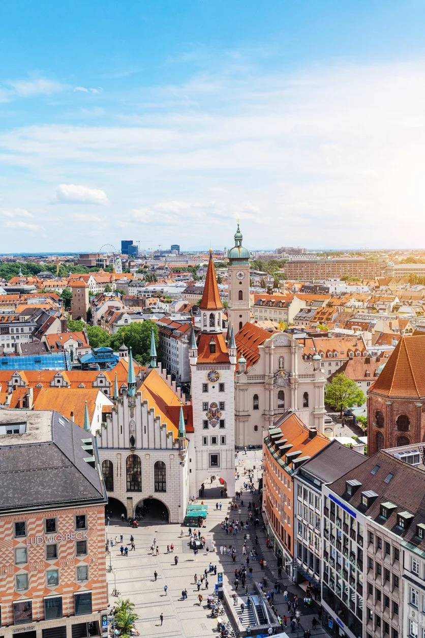 Munich College Consulting