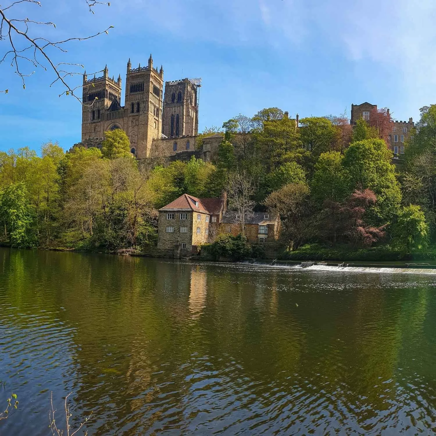 Durham university successful applicant