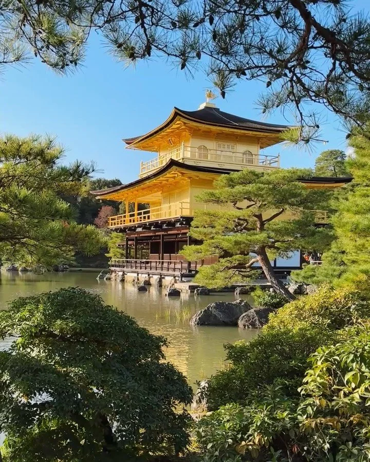 Autumn magic in #Kyoto 🍁