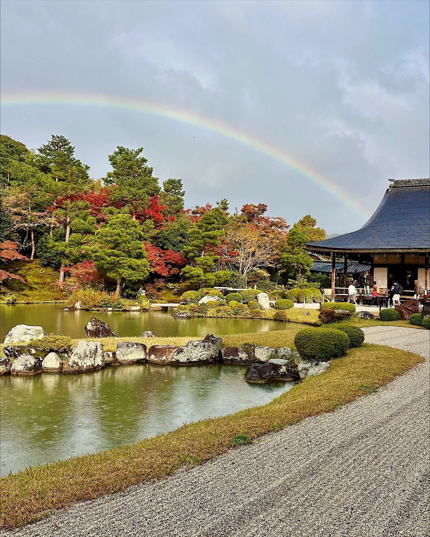 More trees &amp; temples of Kyoto because the nature here is too beautiful 💫