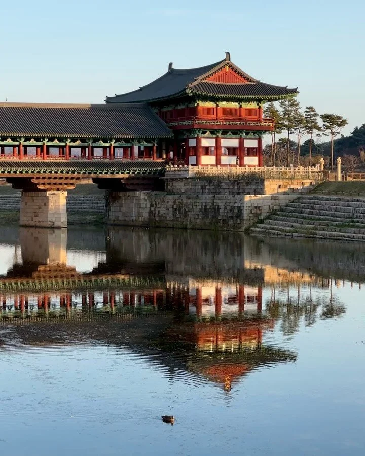 Beautiful Gyeongju, a small city in South Korea that is well worth a visit ☀️🍁🦆