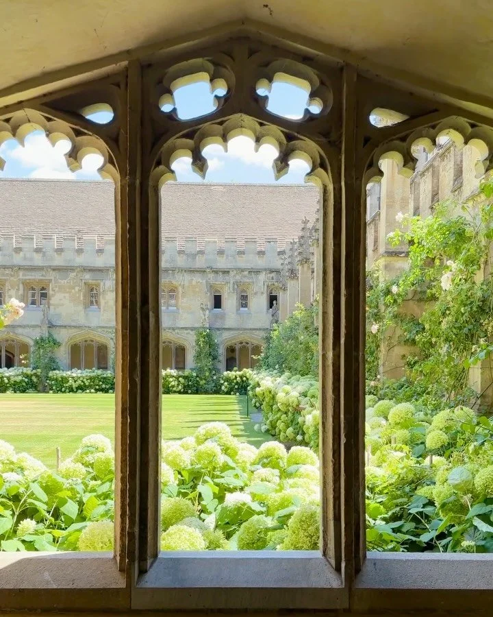 I visited Oxford and fell in love with Magdalen College, one of the 39 colleges that make up the University of Oxford.

It was founded in 1458 - Oscar Wilde studied here, and C.S. Lewis was a fellow. The grounds are gorgeous, with a medieval cloister
