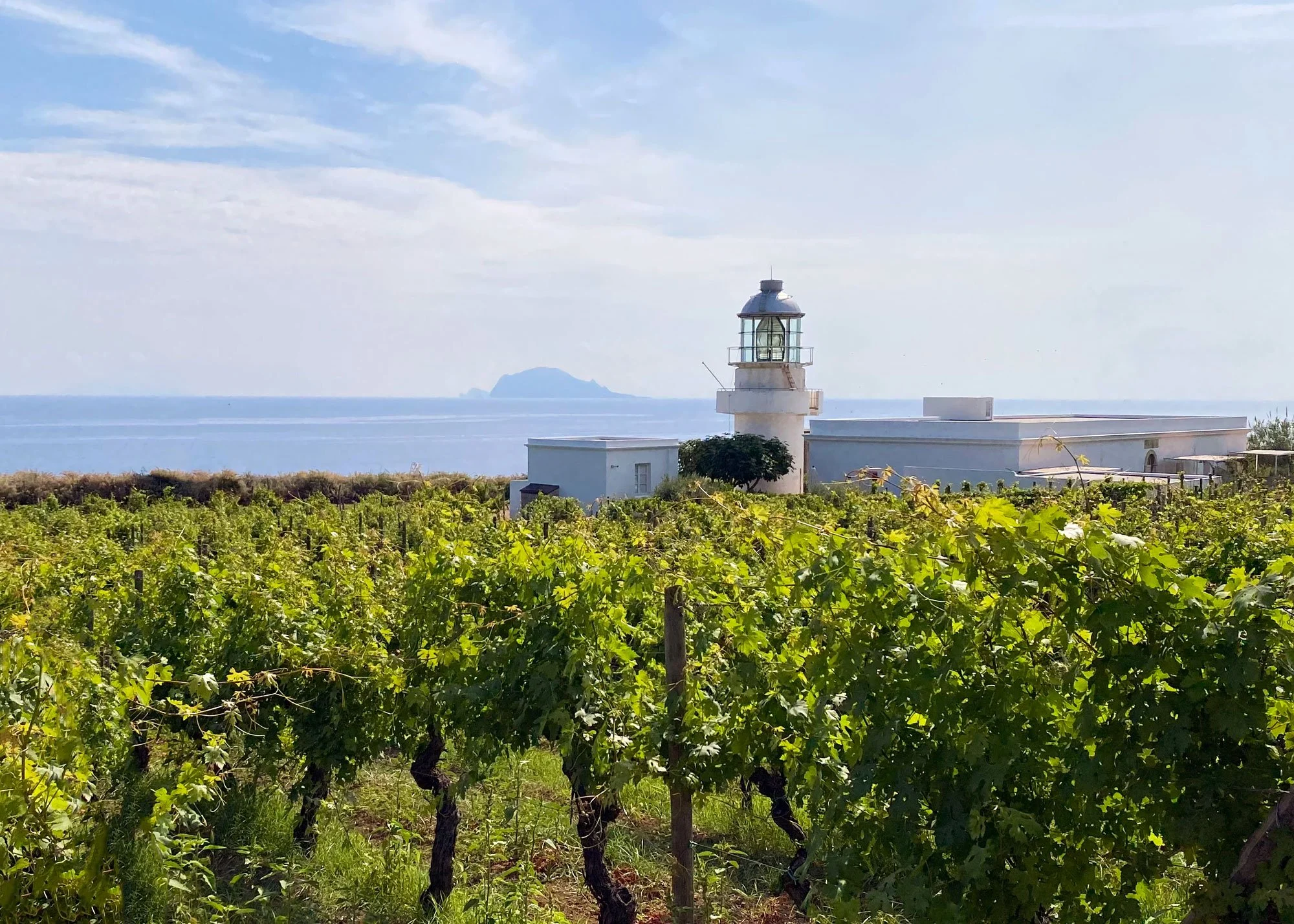 Capofaro-Vineyard2.jpg
