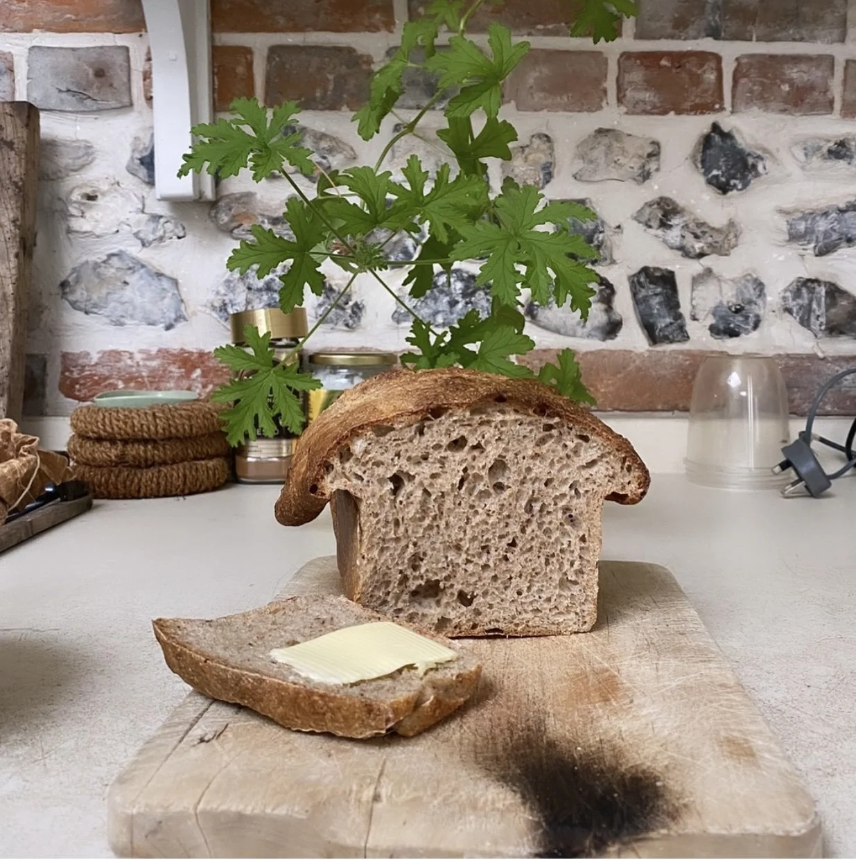 QUICK SOURDOUGH 