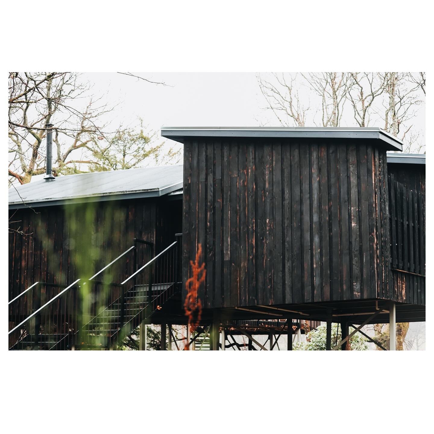 SCOTLAND // Christmas in our utterly magnificent Scottish Scandinavian Treehouse @the_treehouses with @canopyandstars pure magic ✨ 🪄

Another cabin to check off our wish list for 2024 👌🏻

Scotland stole my heart a long time ago &amp; I often find 