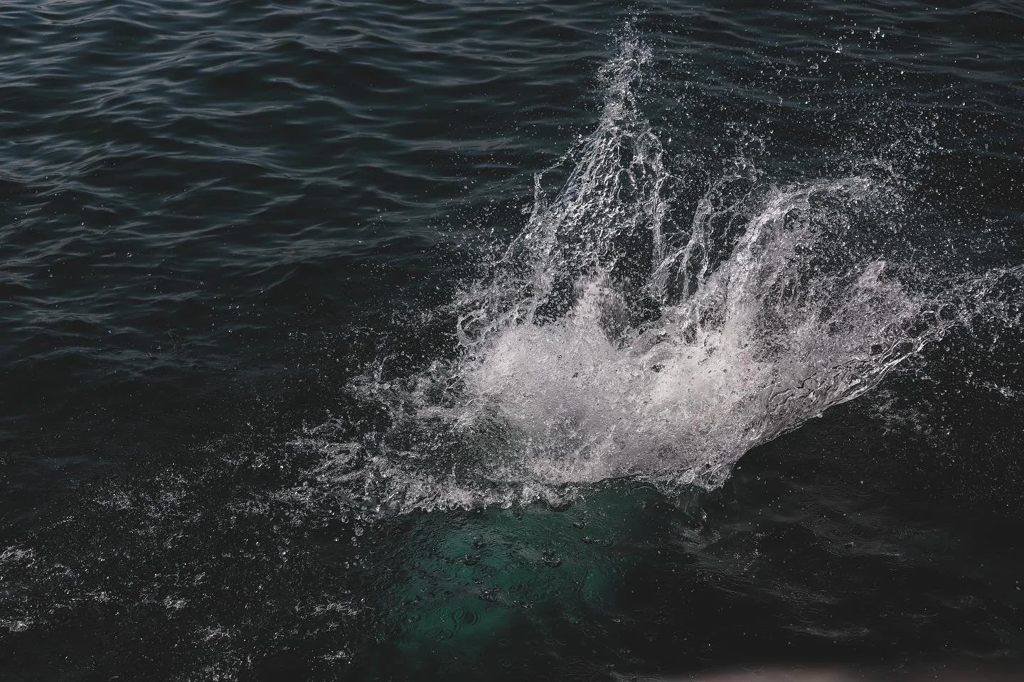 Summer Splash 2024 // Lake Geneva🇨🇭🇫🇷 
&mdash;
Jumping off the quiet Jetty in a local village in 35 degrees at Lake Geneva / Lake L&eacute;man. An insanely turquoise, blue &amp; clear water with breathtaking alps mountain range layered in the bac